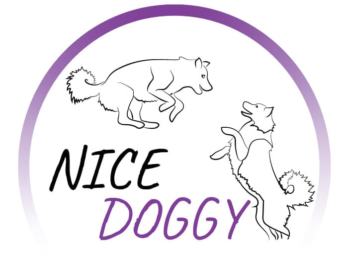 Nice Doggy - szkolenia psów / hotelik dla psów