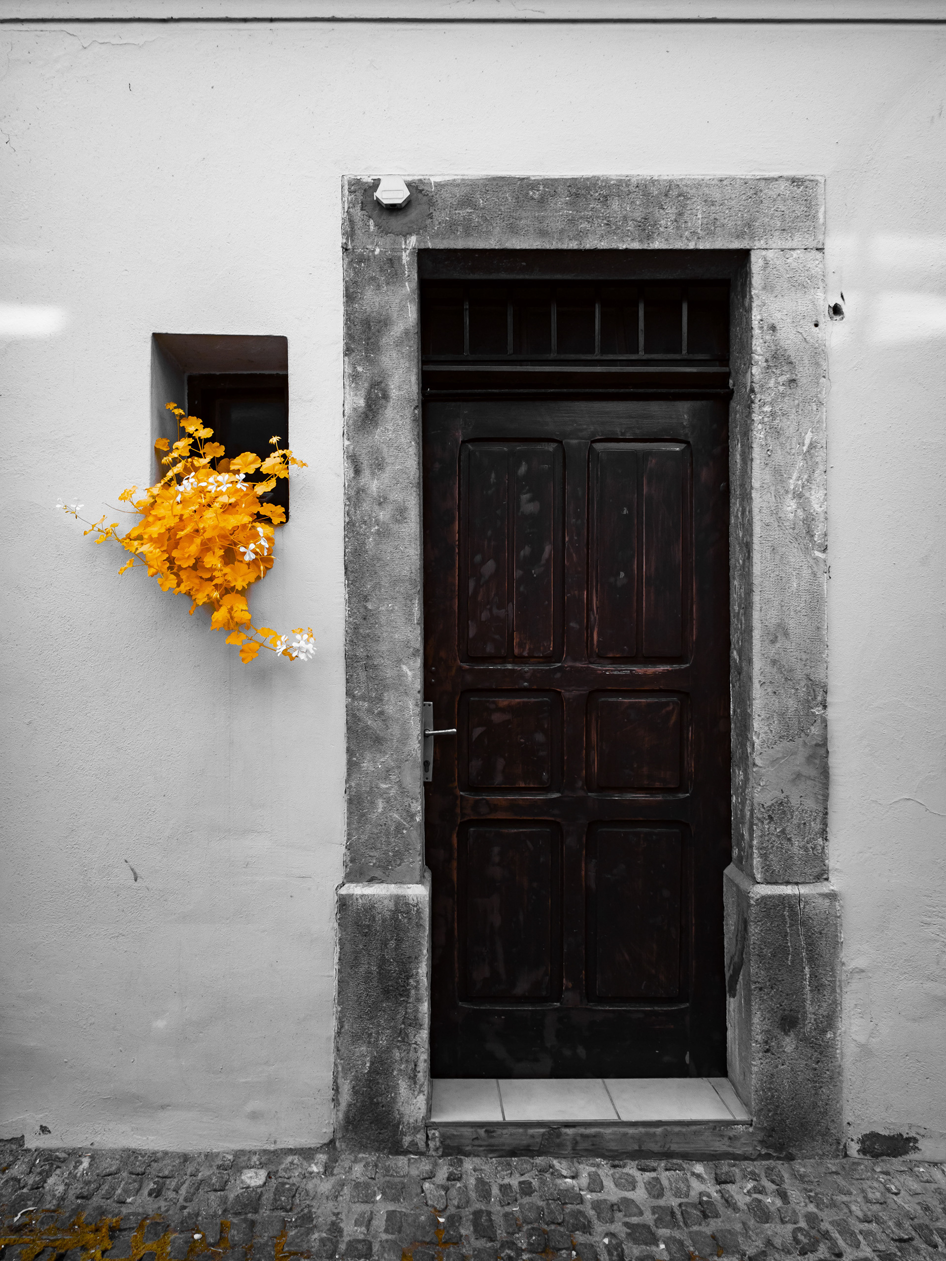 Slovenia. 590nm infrared.