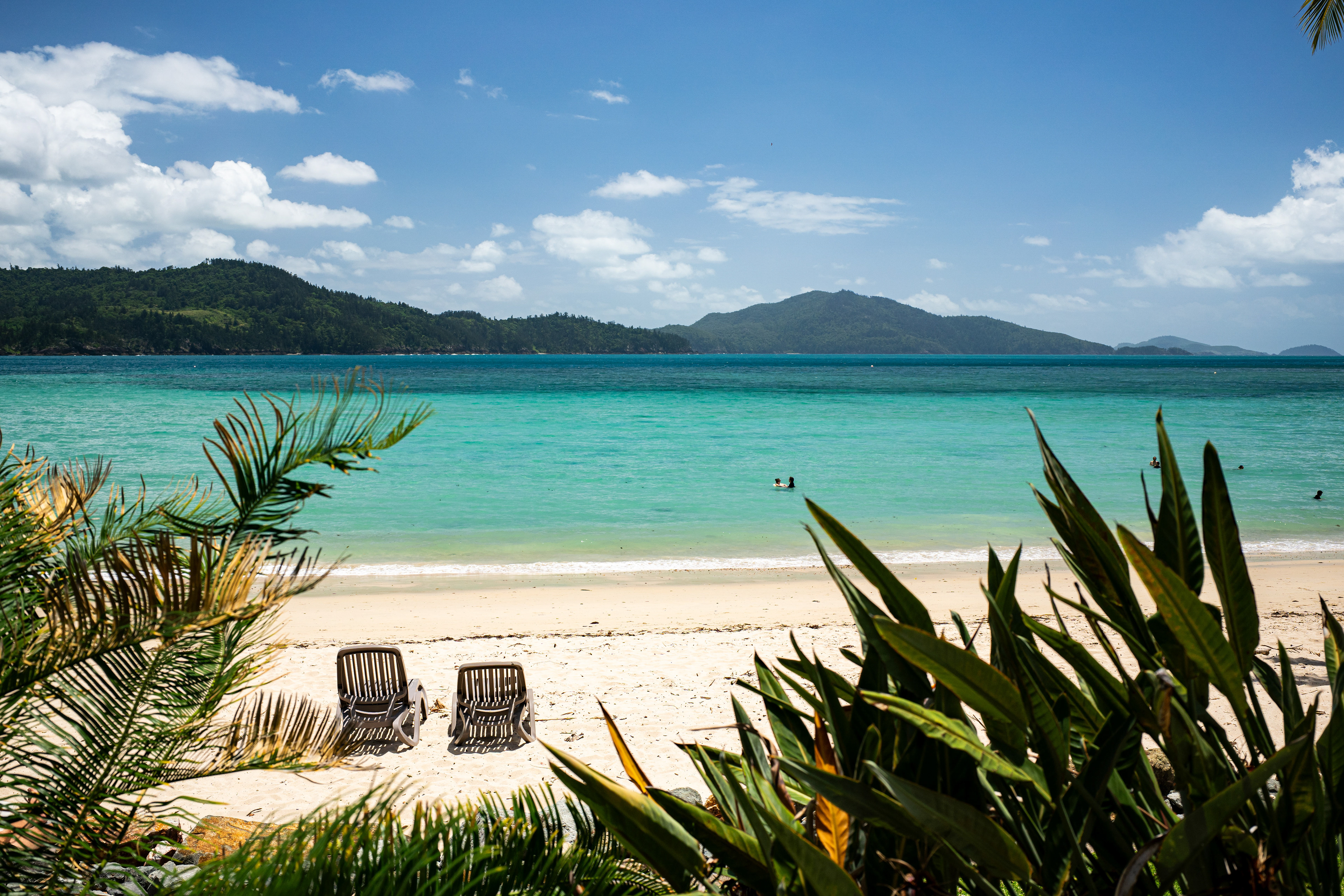 Hamilton Island.