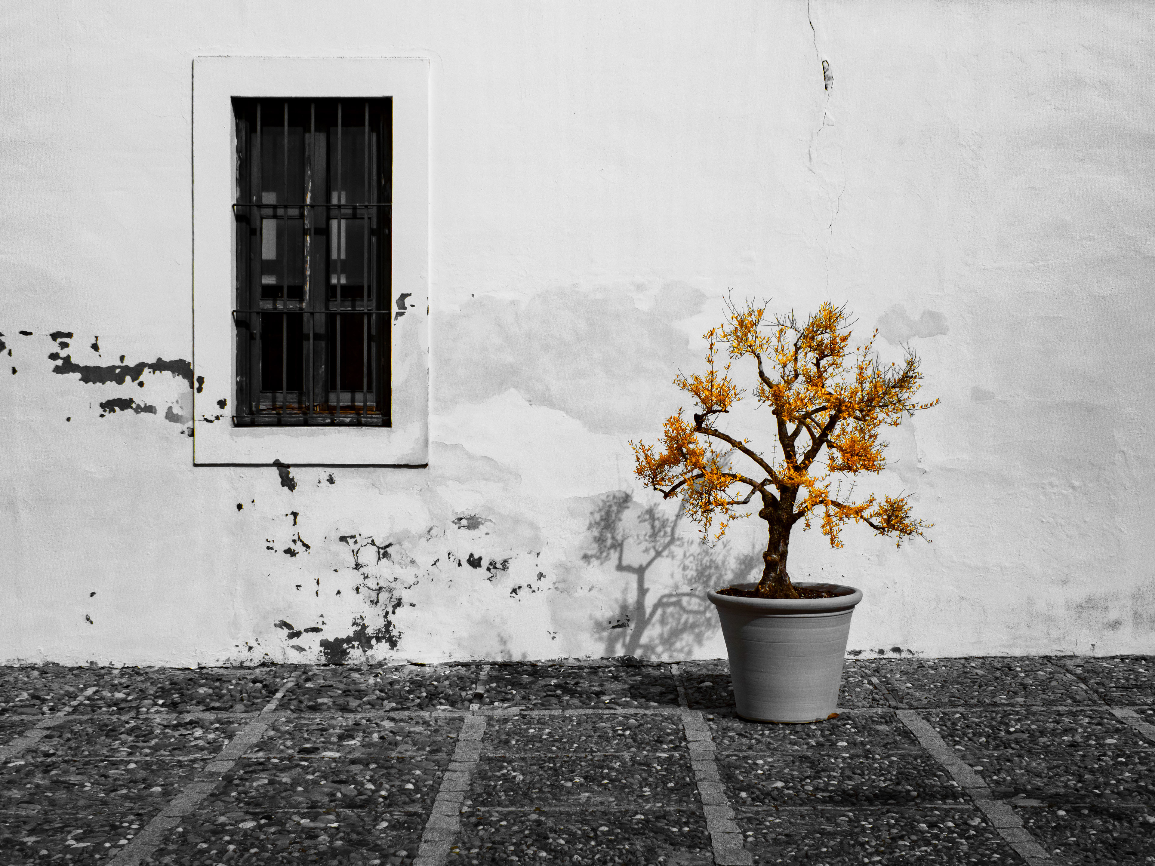 Sevilla, Spain. 590nm infrared.