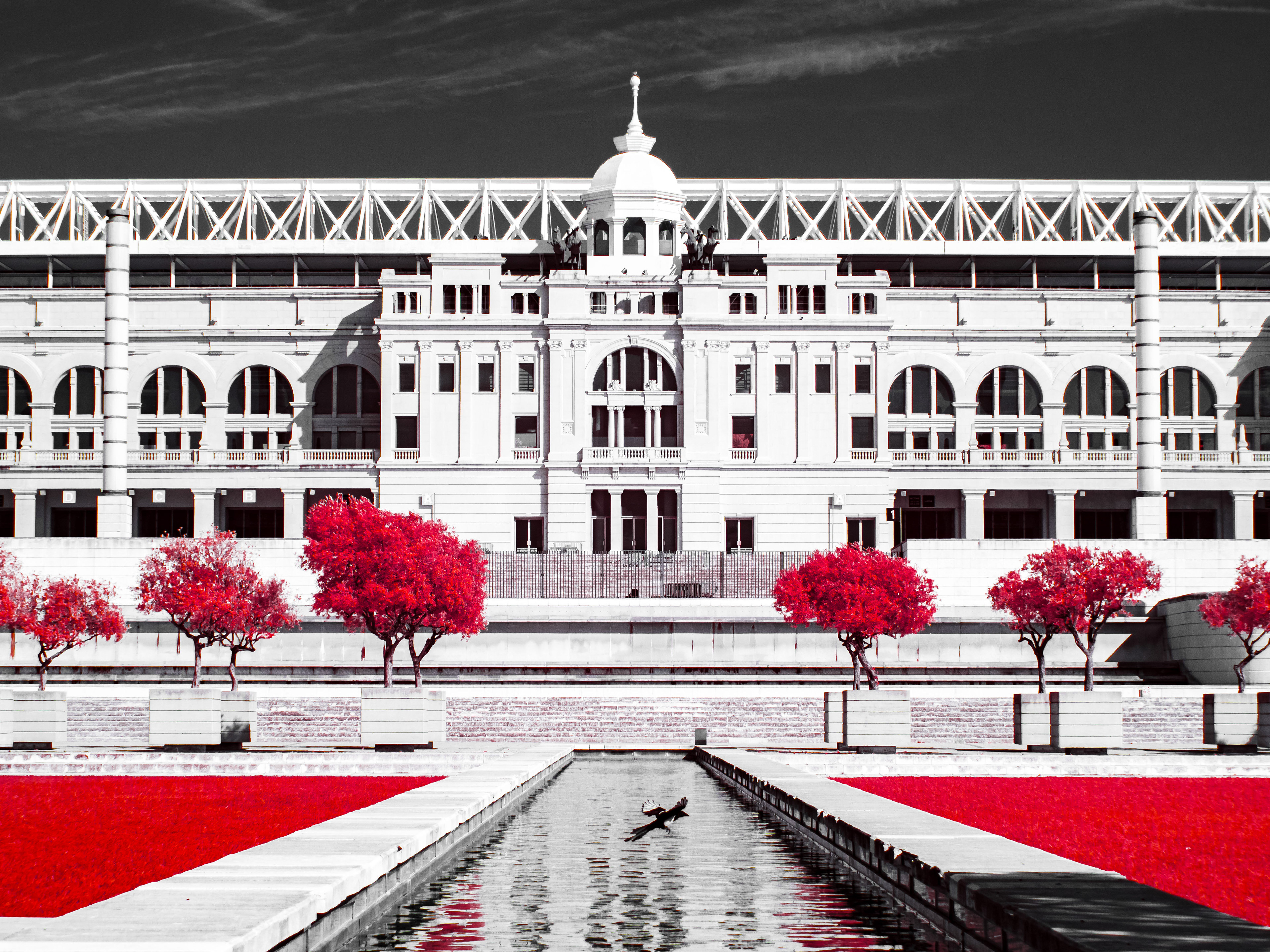 Barcelona. 590nm infrared.