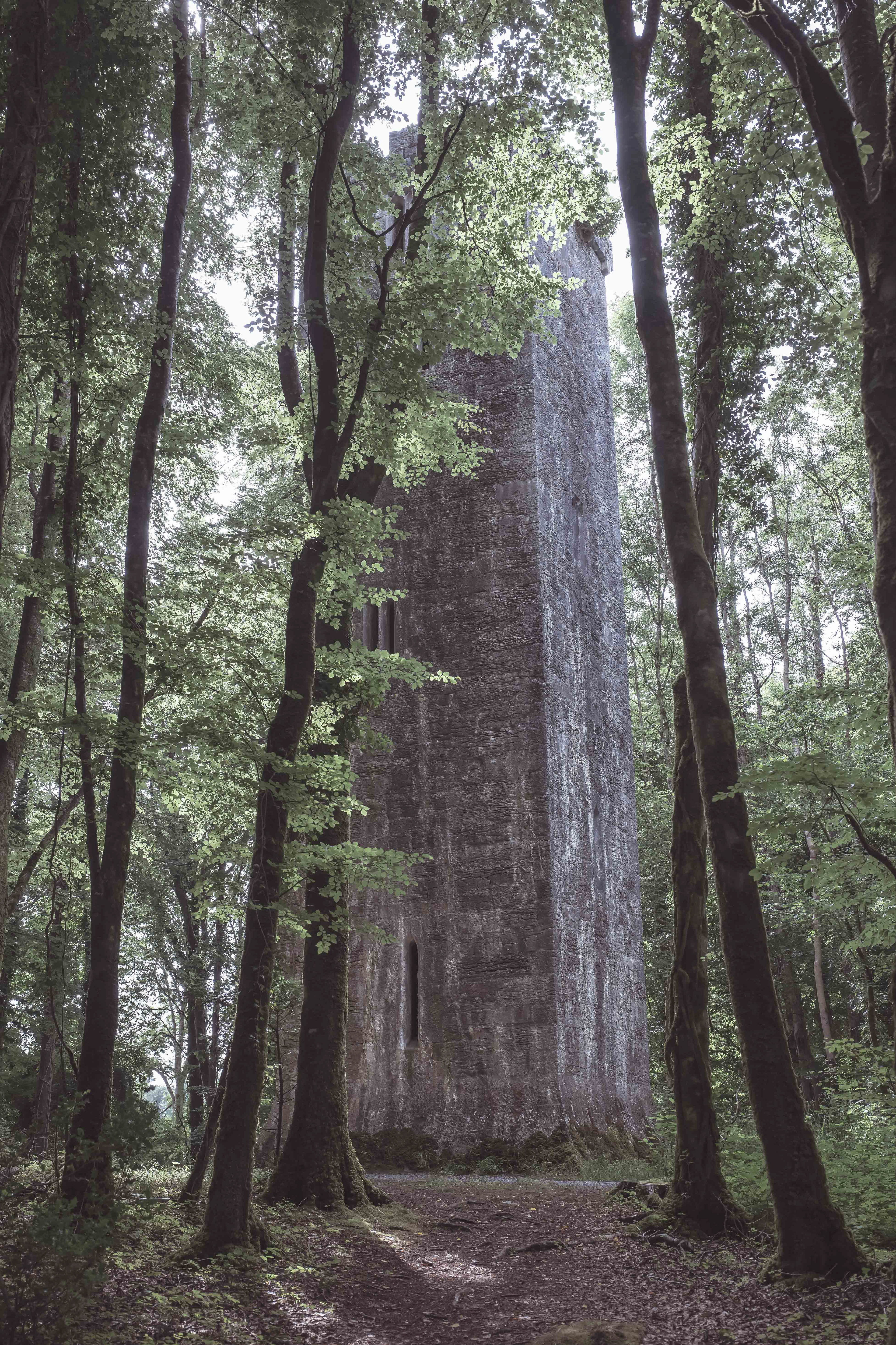 Guinness Tower. Near Cong.