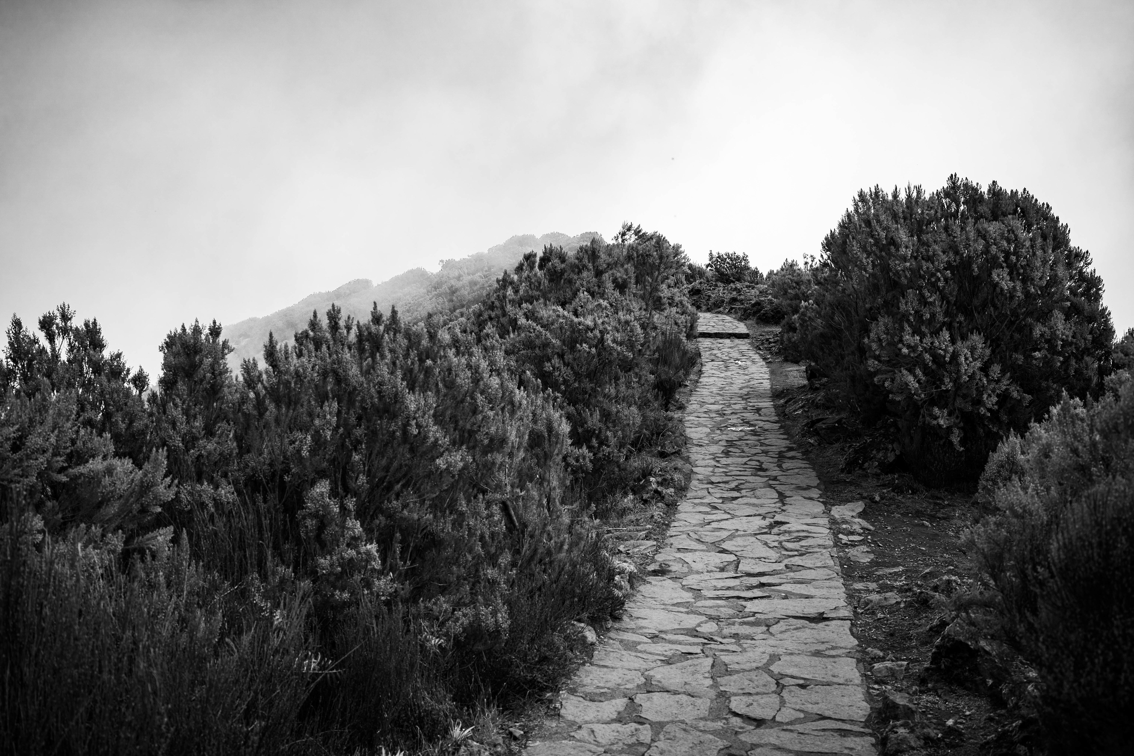 Pico Ruivo, Madeira.