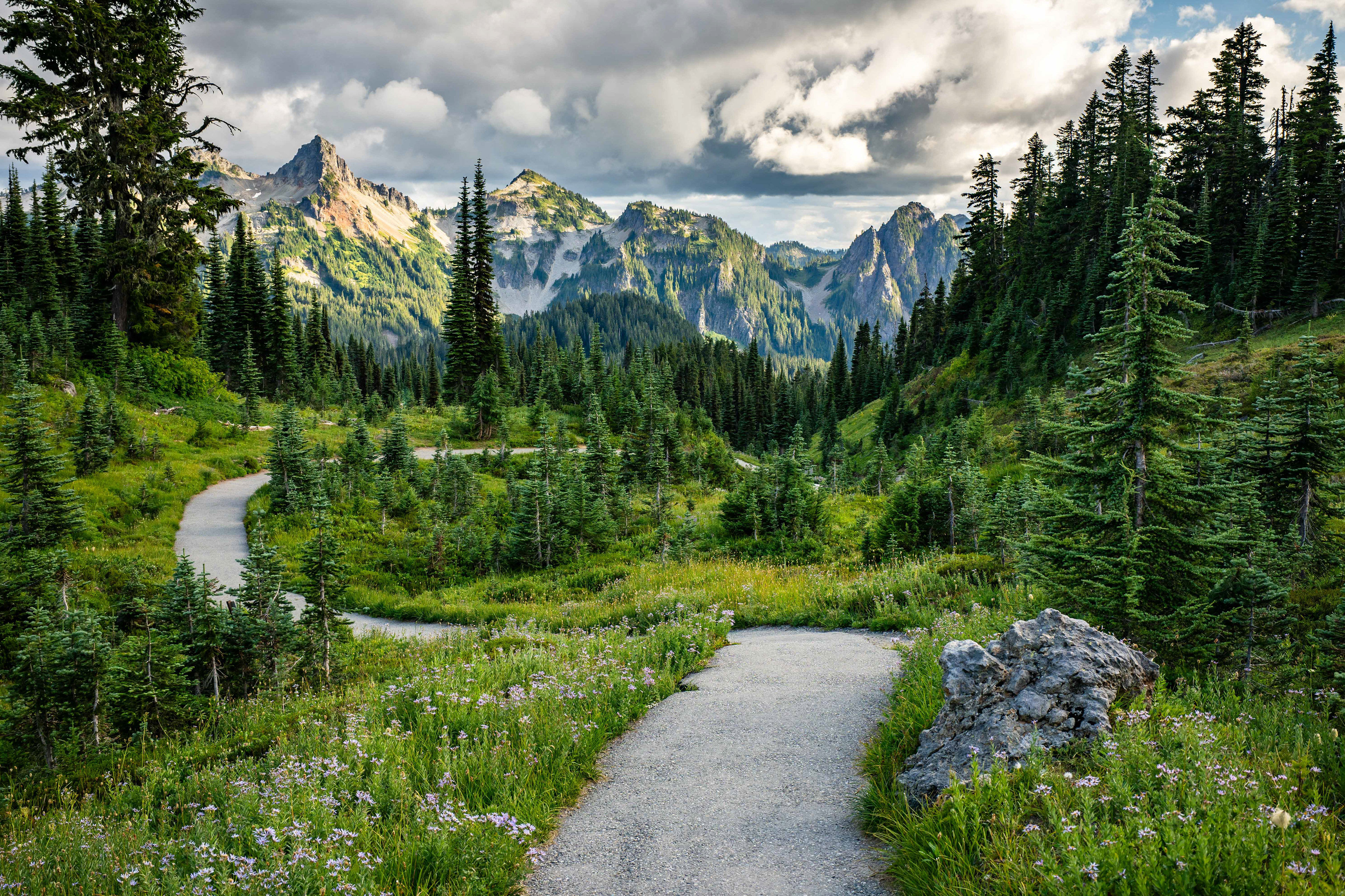 Paradise, WA.