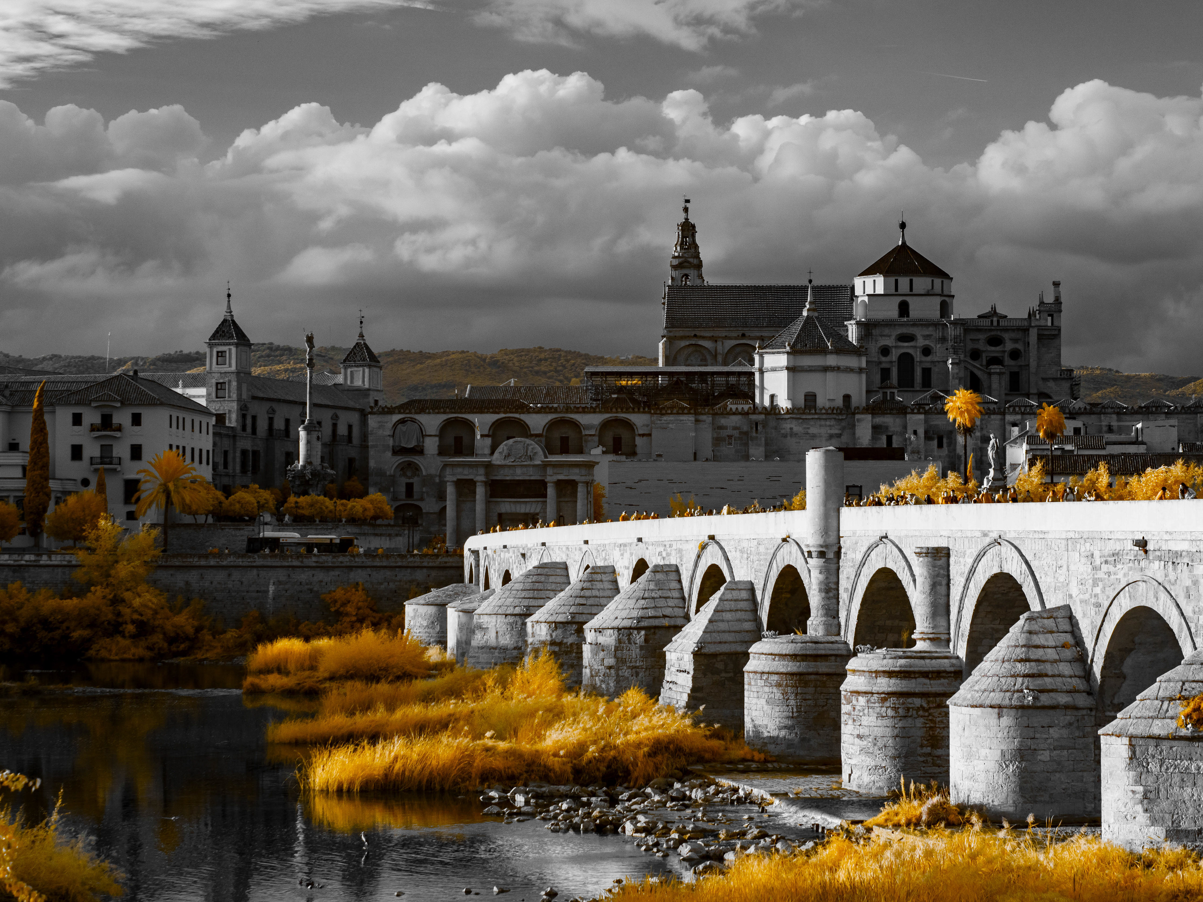 Cordoba. 590nm infrared.