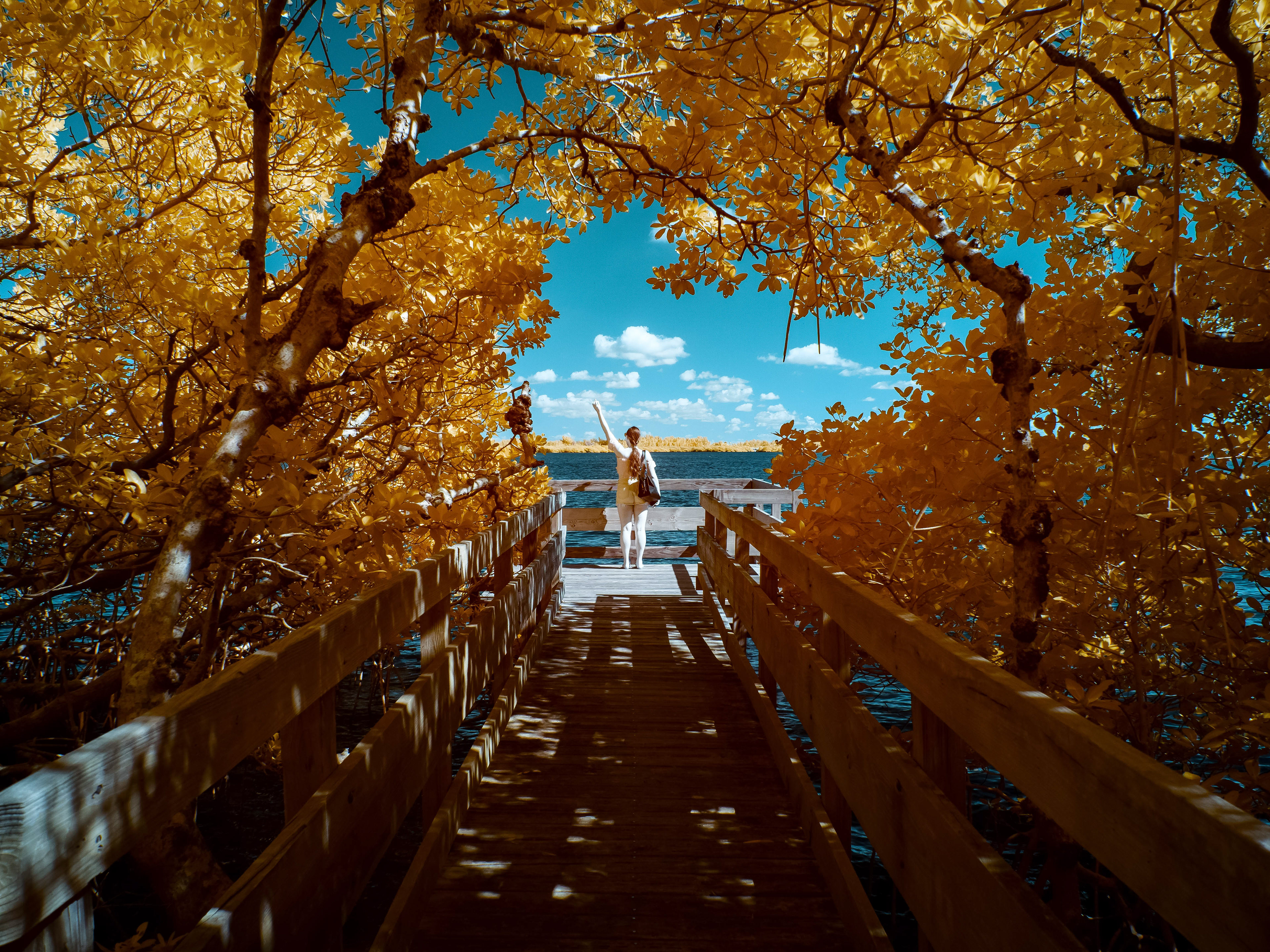Sanibel, FL. 590nm infrared.