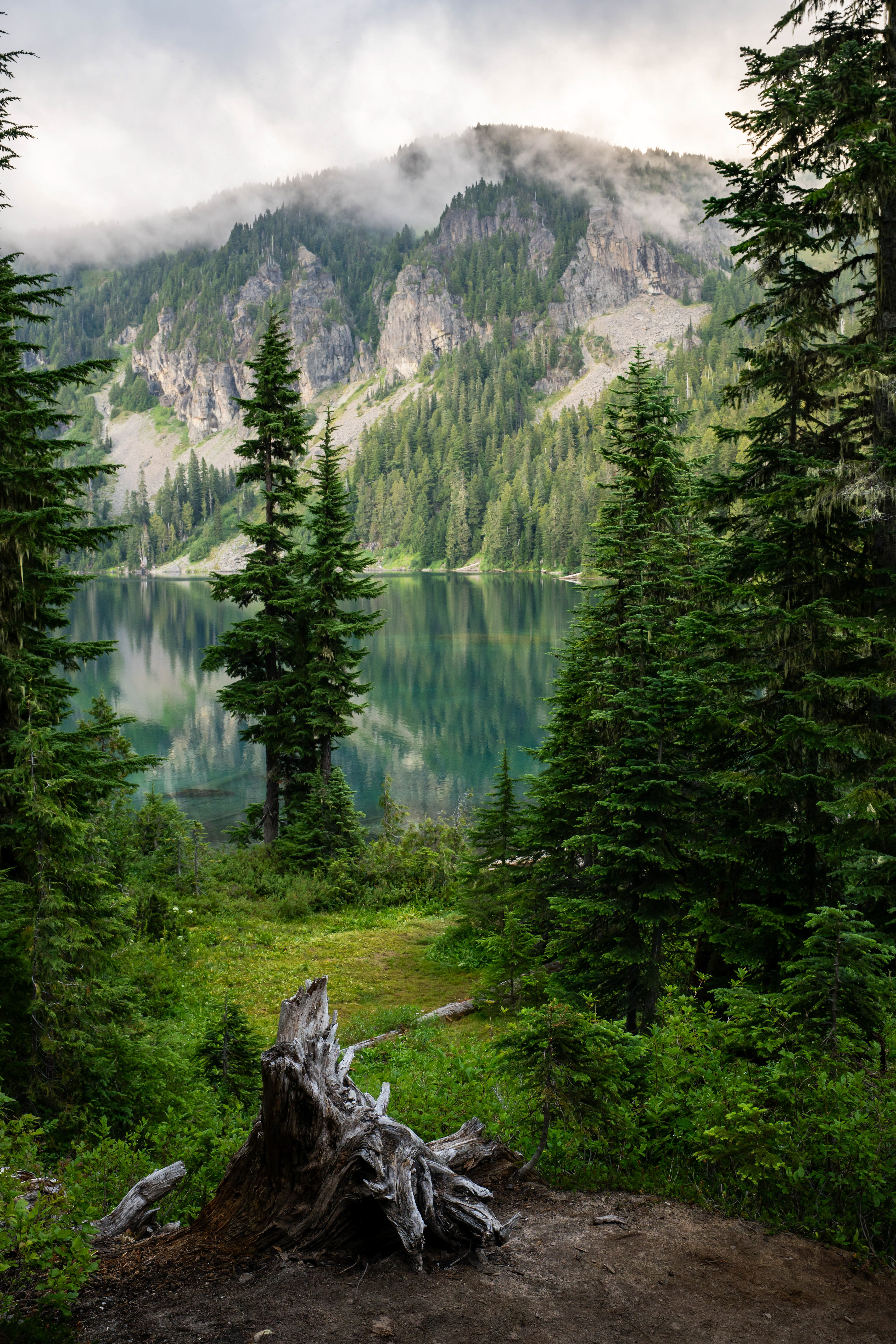 Mount Rainier National Park.