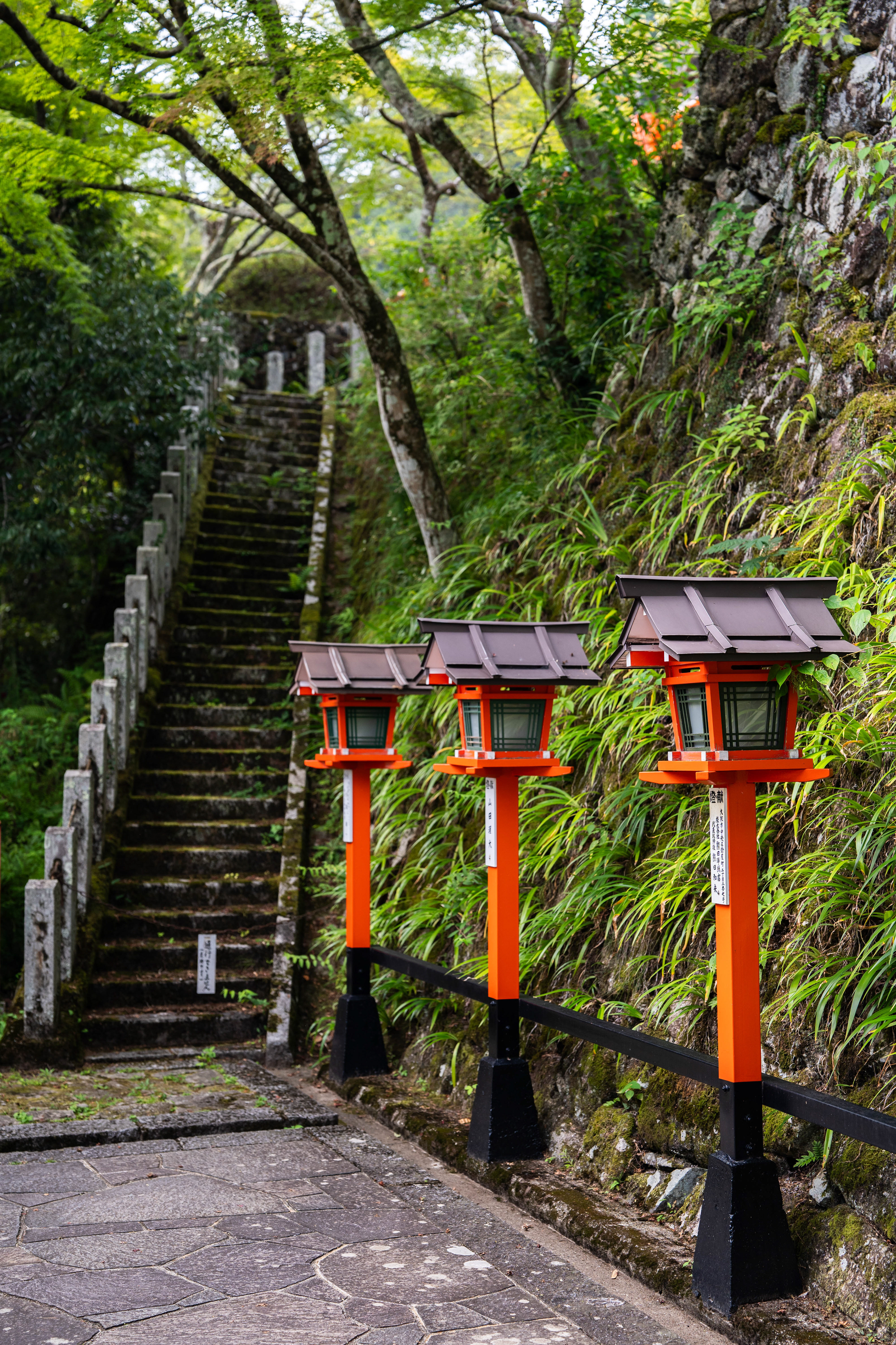 Mount Kurama, Japan. 