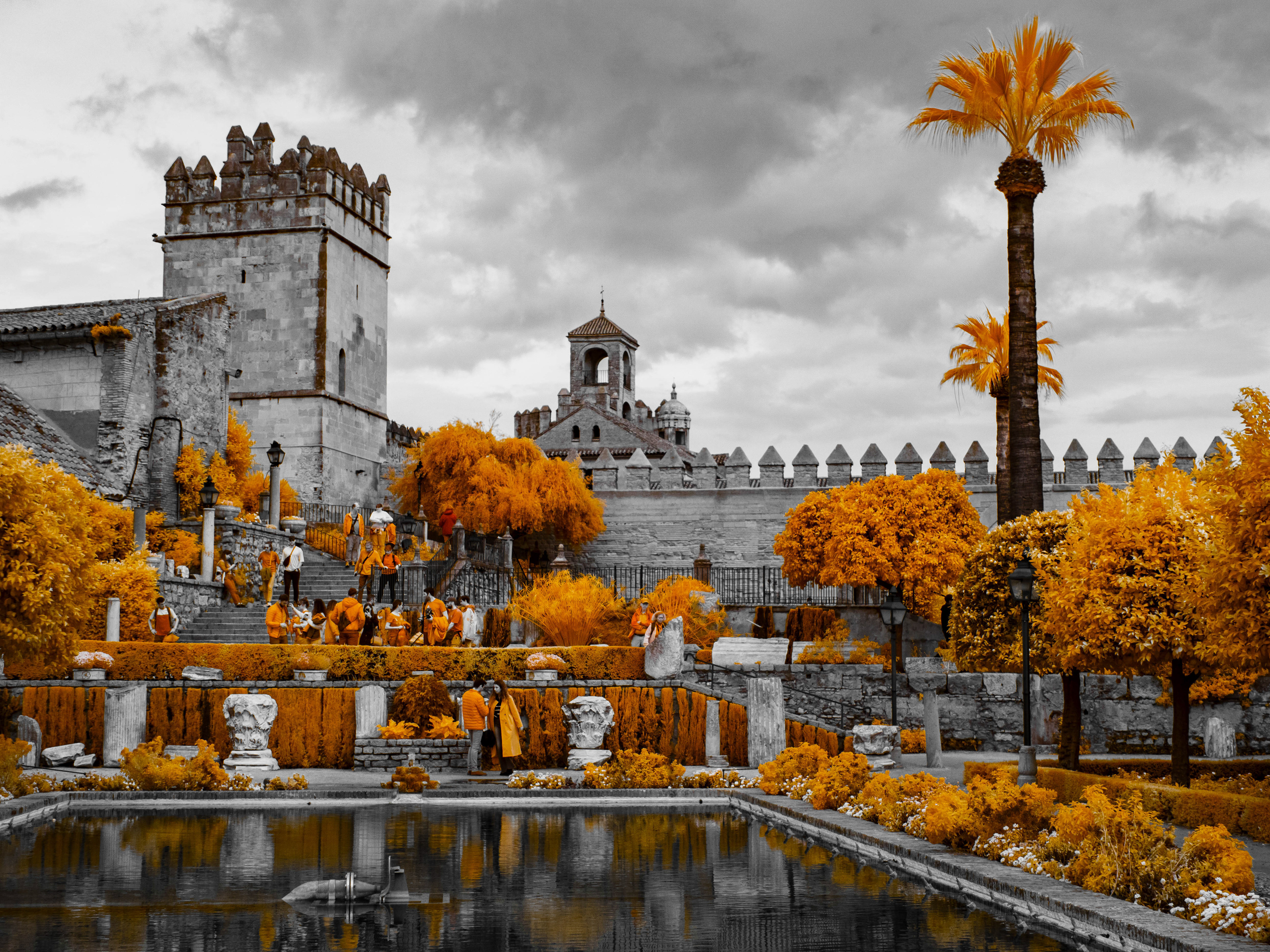 Cordoba. 590nm infrared.