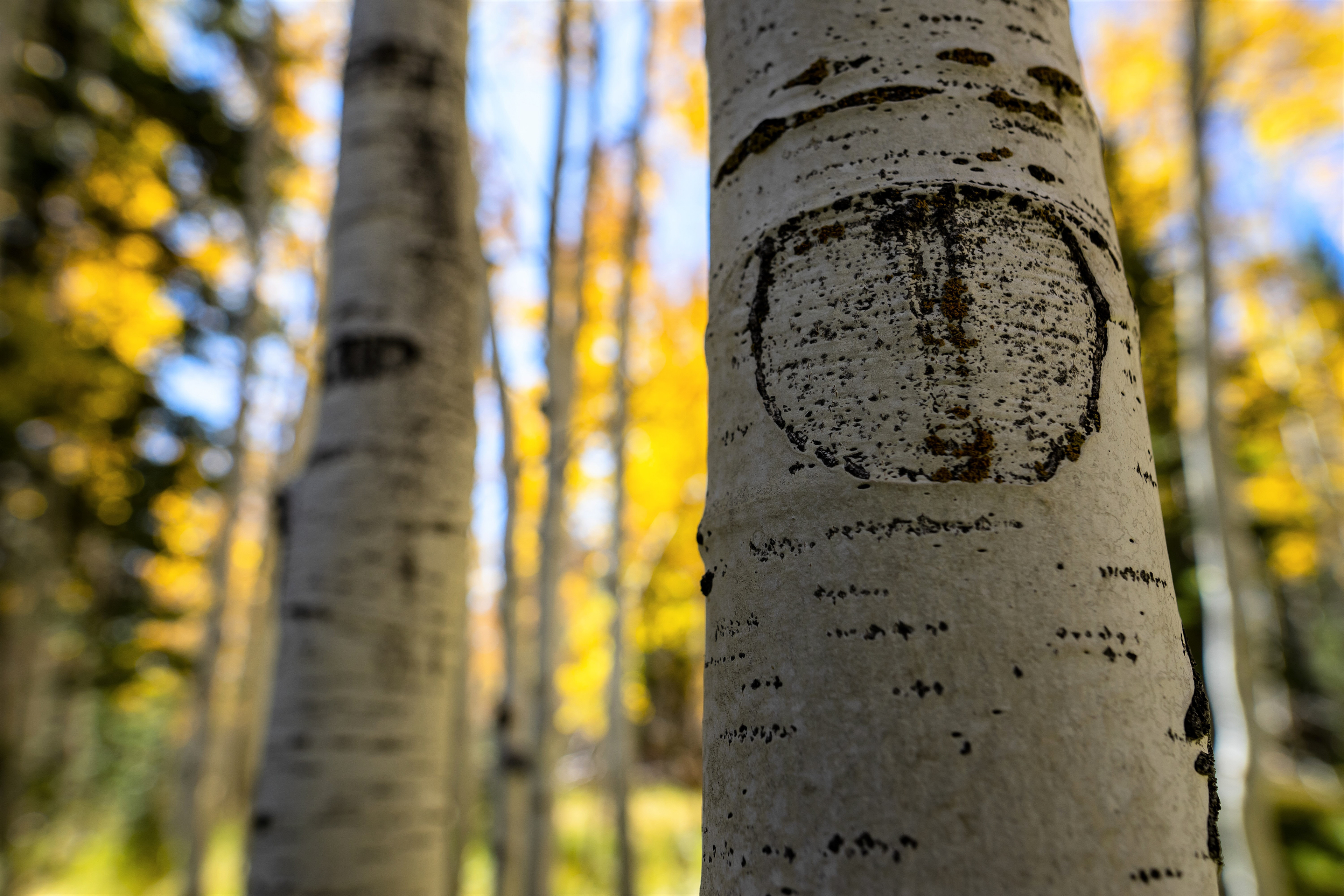 Somewhere in western Utah.