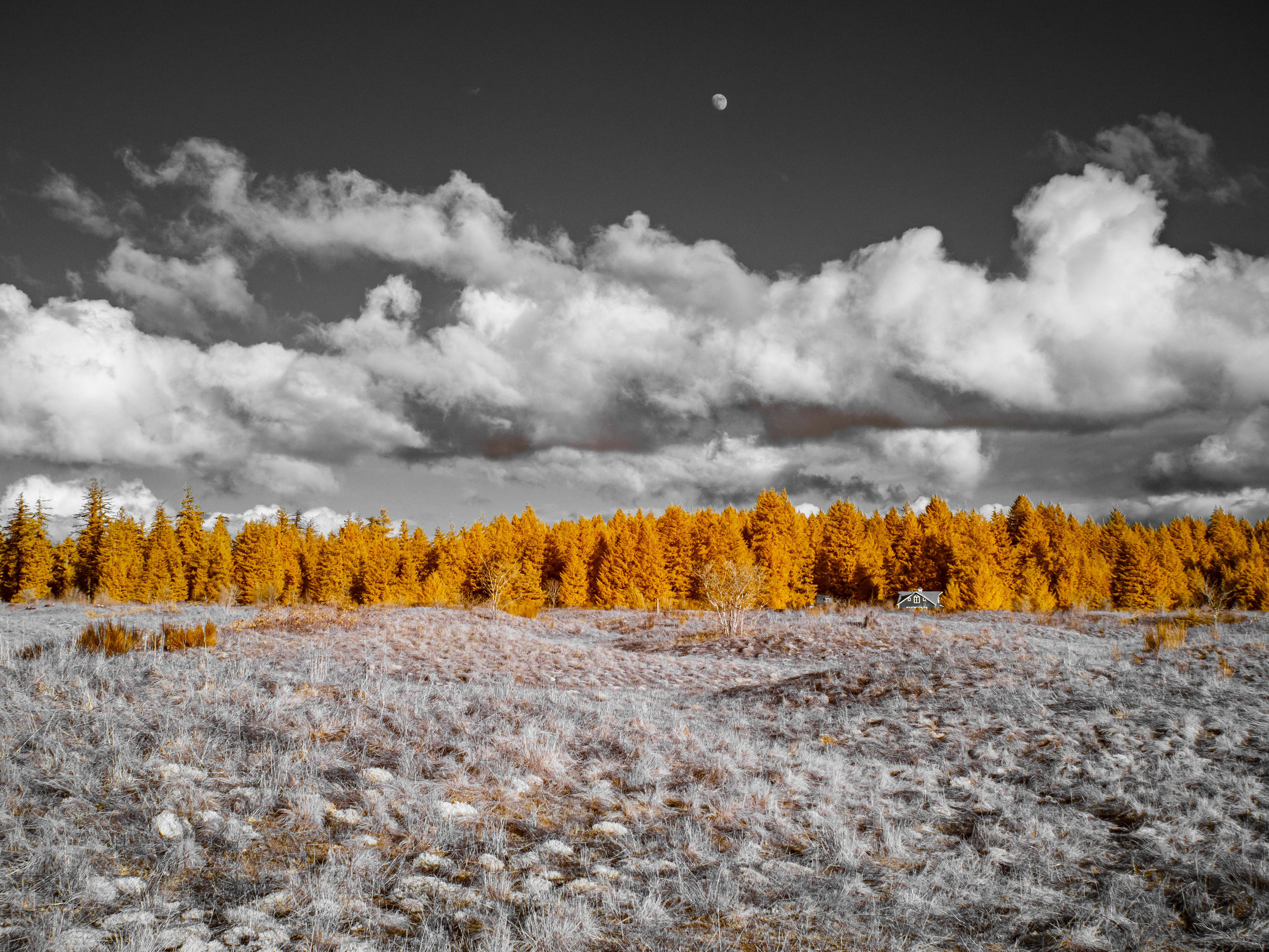 Mima Mounds. 590nm infrared.