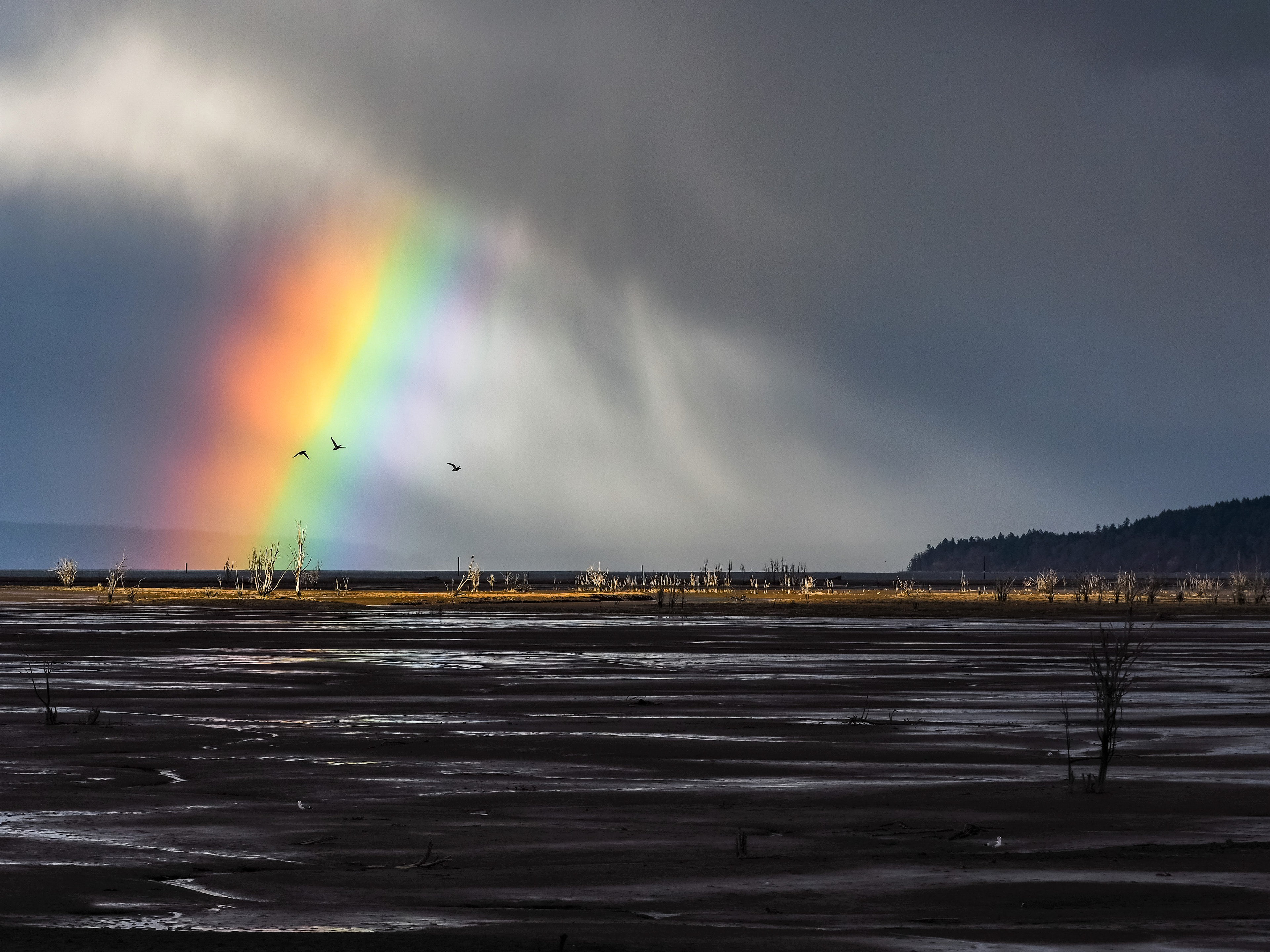 Nisqually, WA.