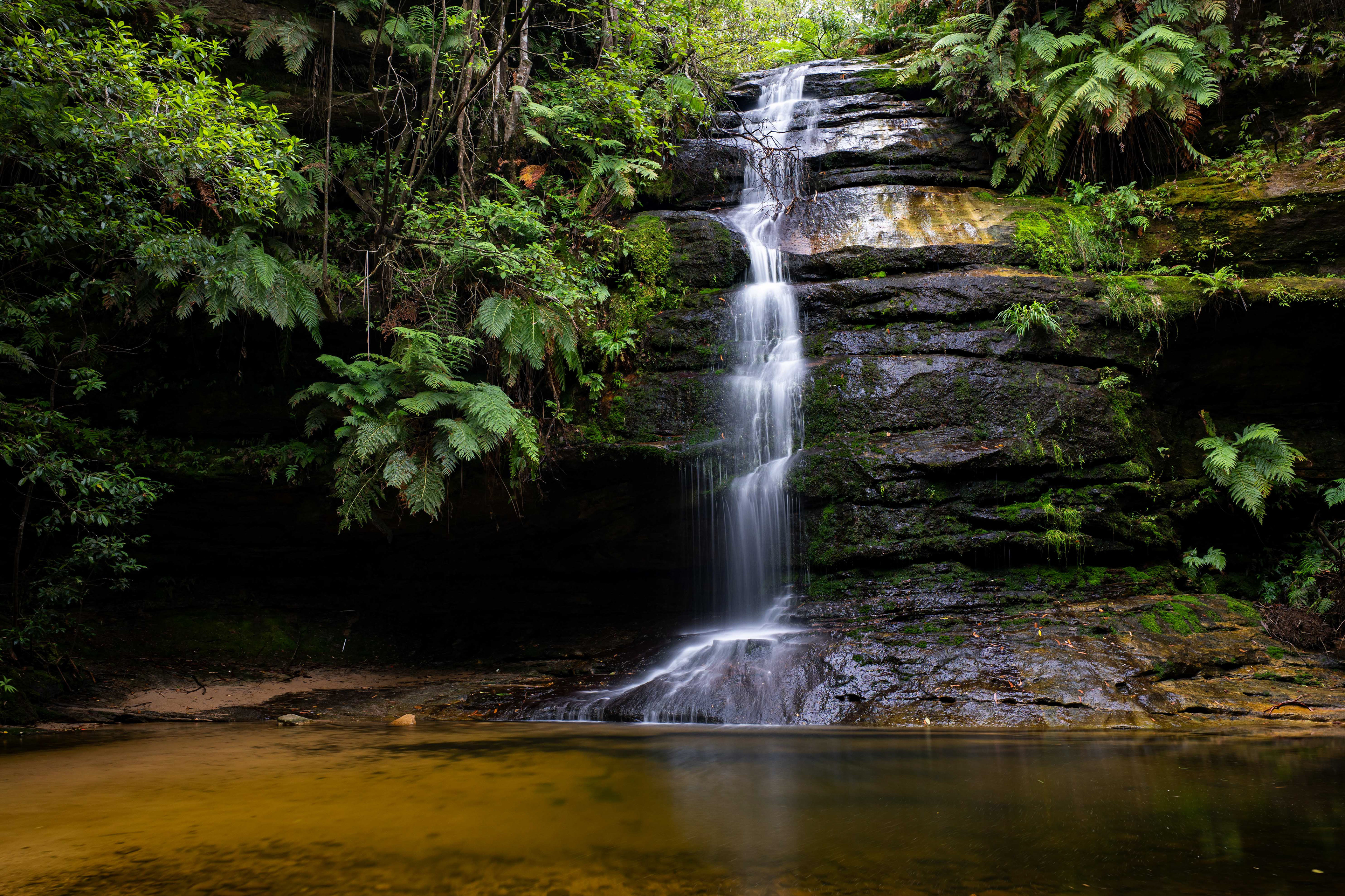 Blue Mountains National Park.