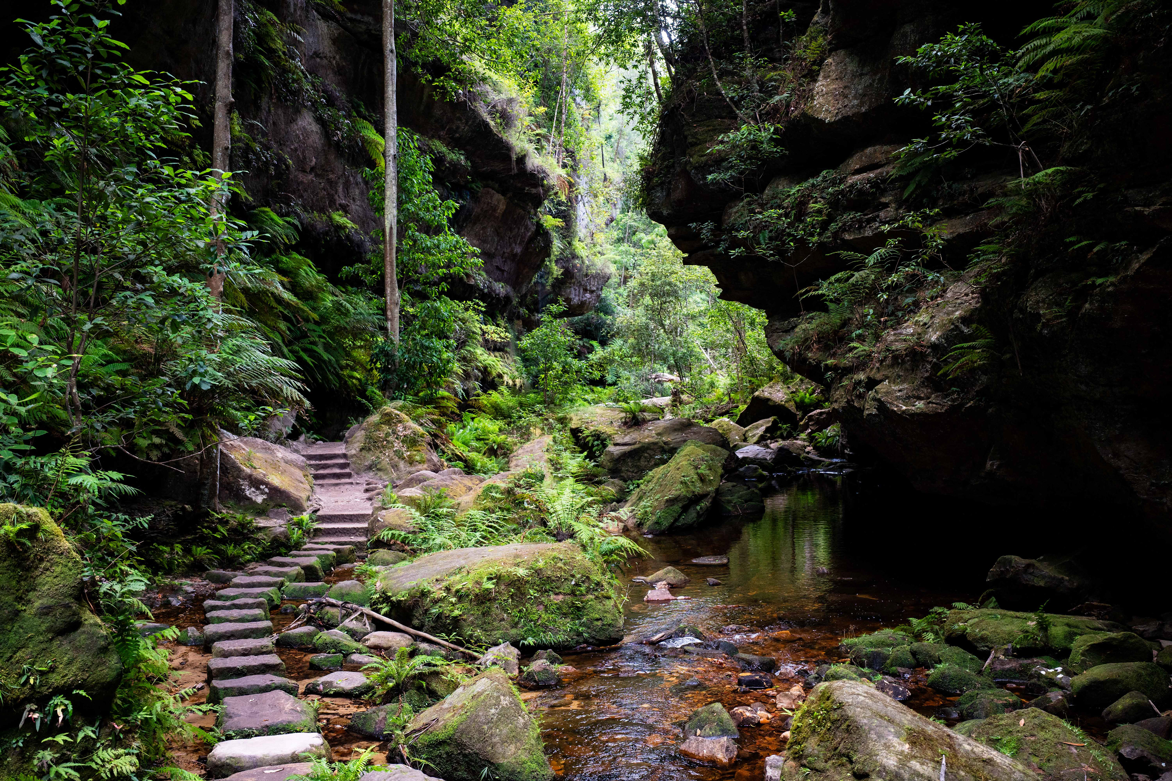 Blue Mountains National Park.