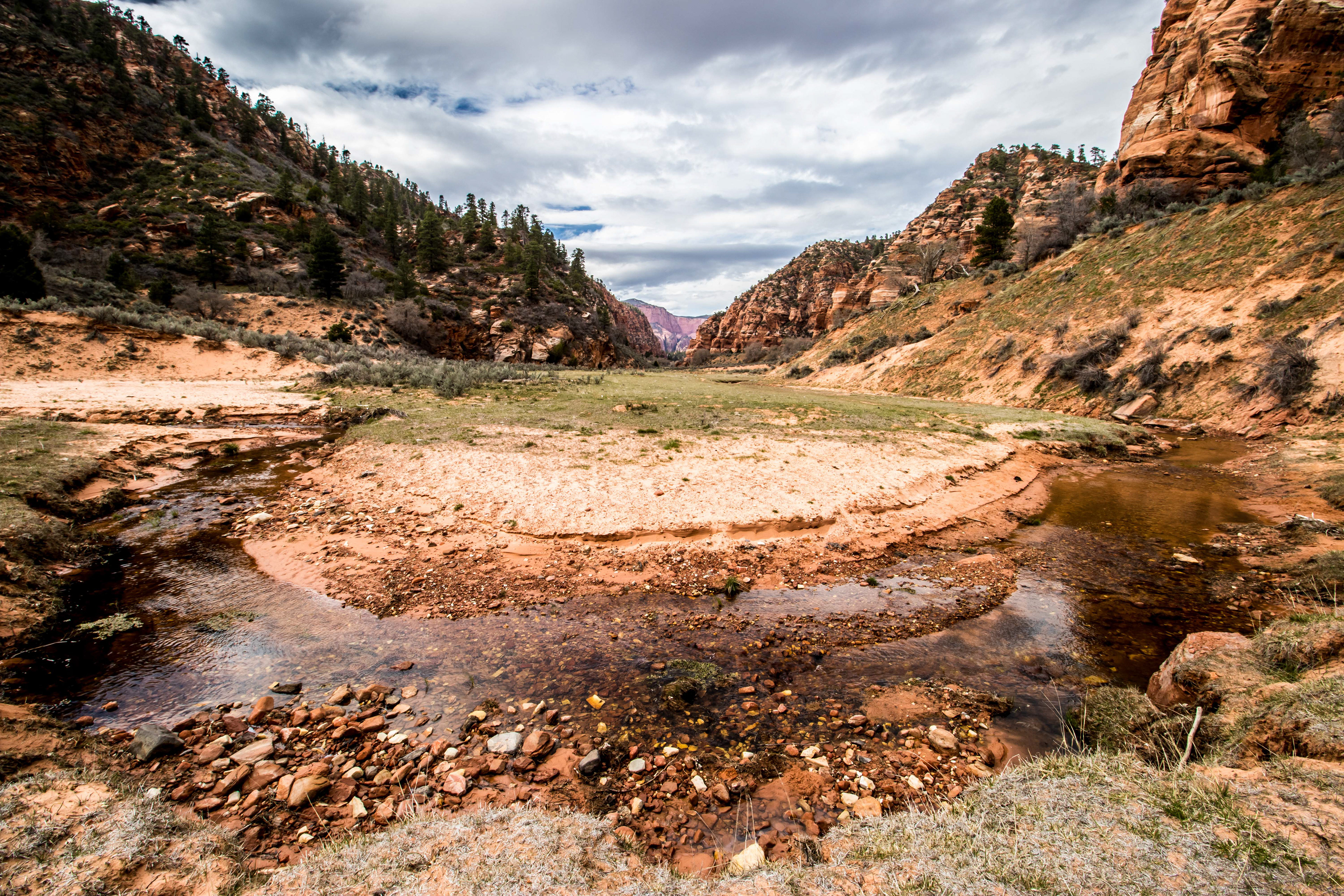 Zion National Park, UT.