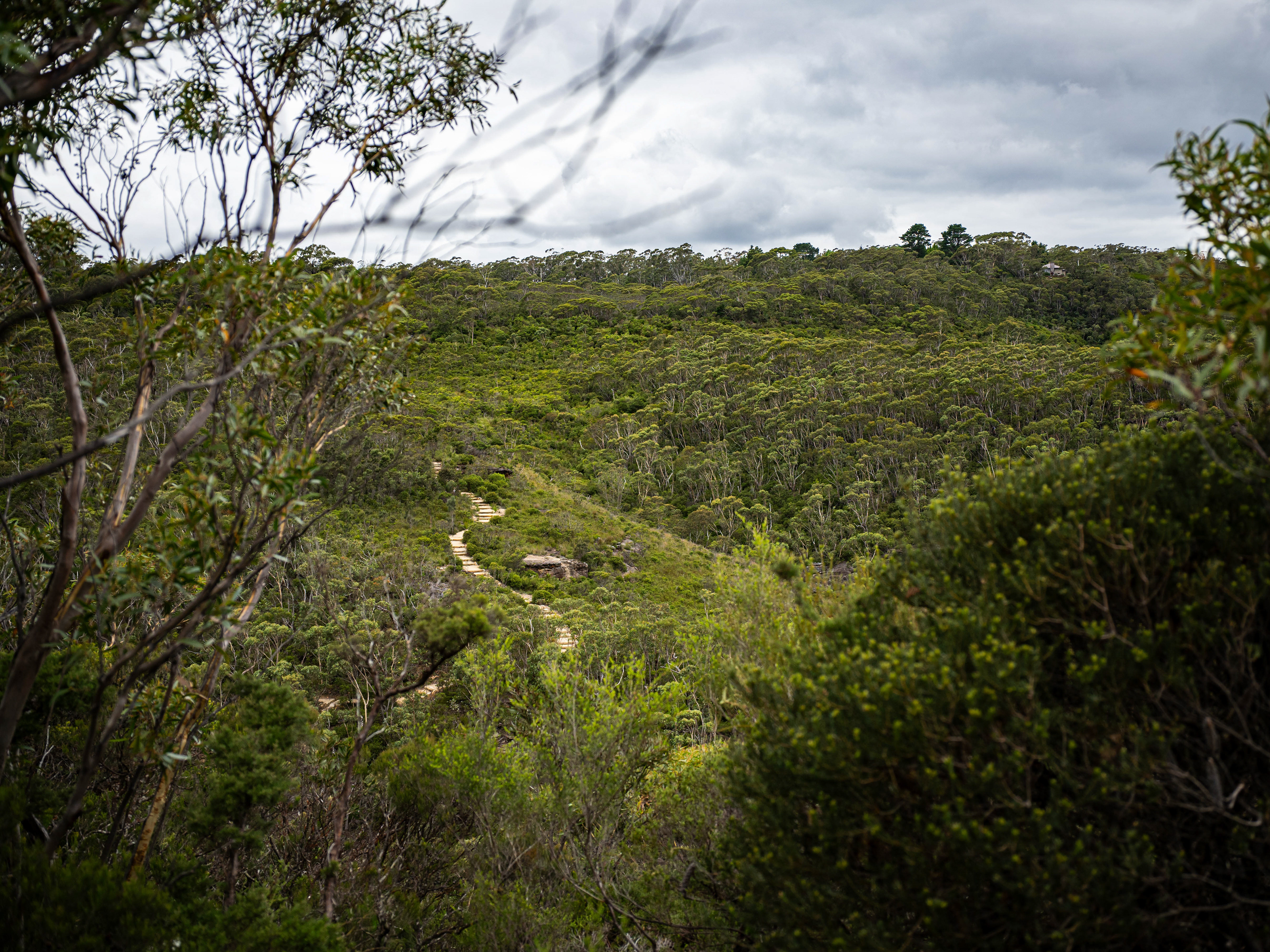 Blue Mountains National Park.