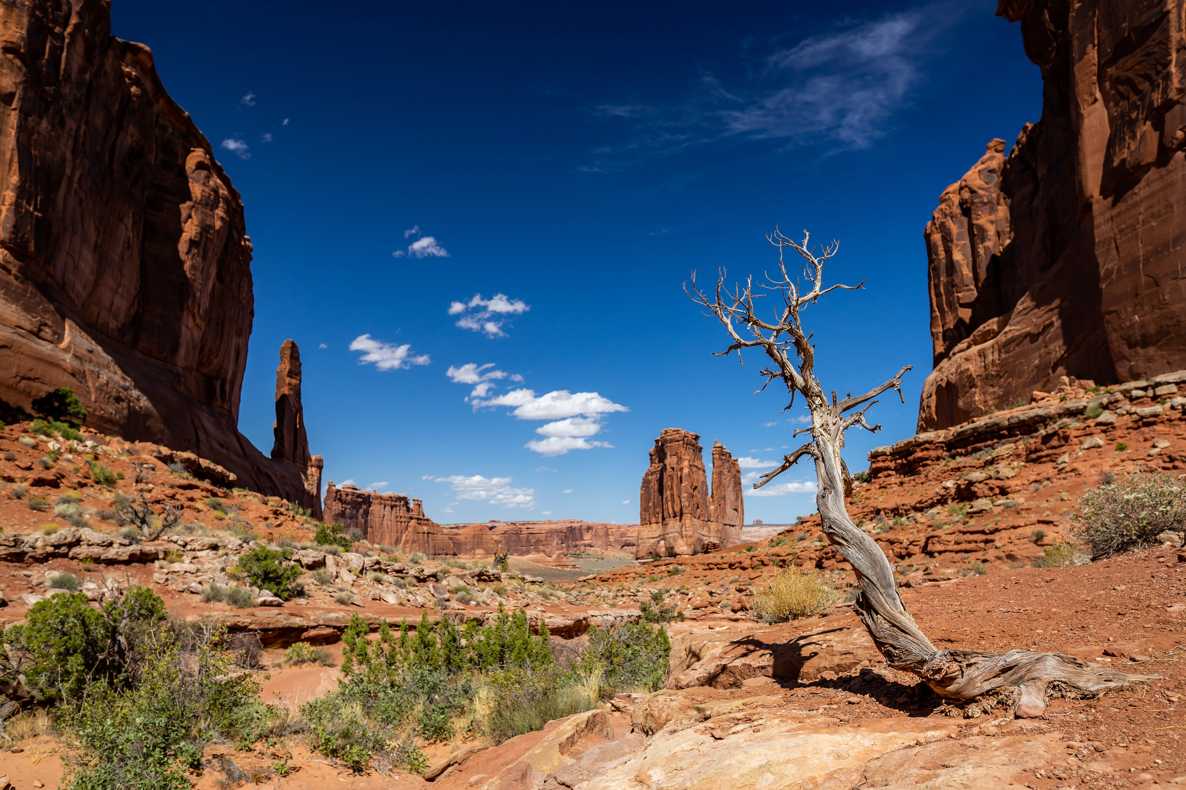 Arches National Park, UT.