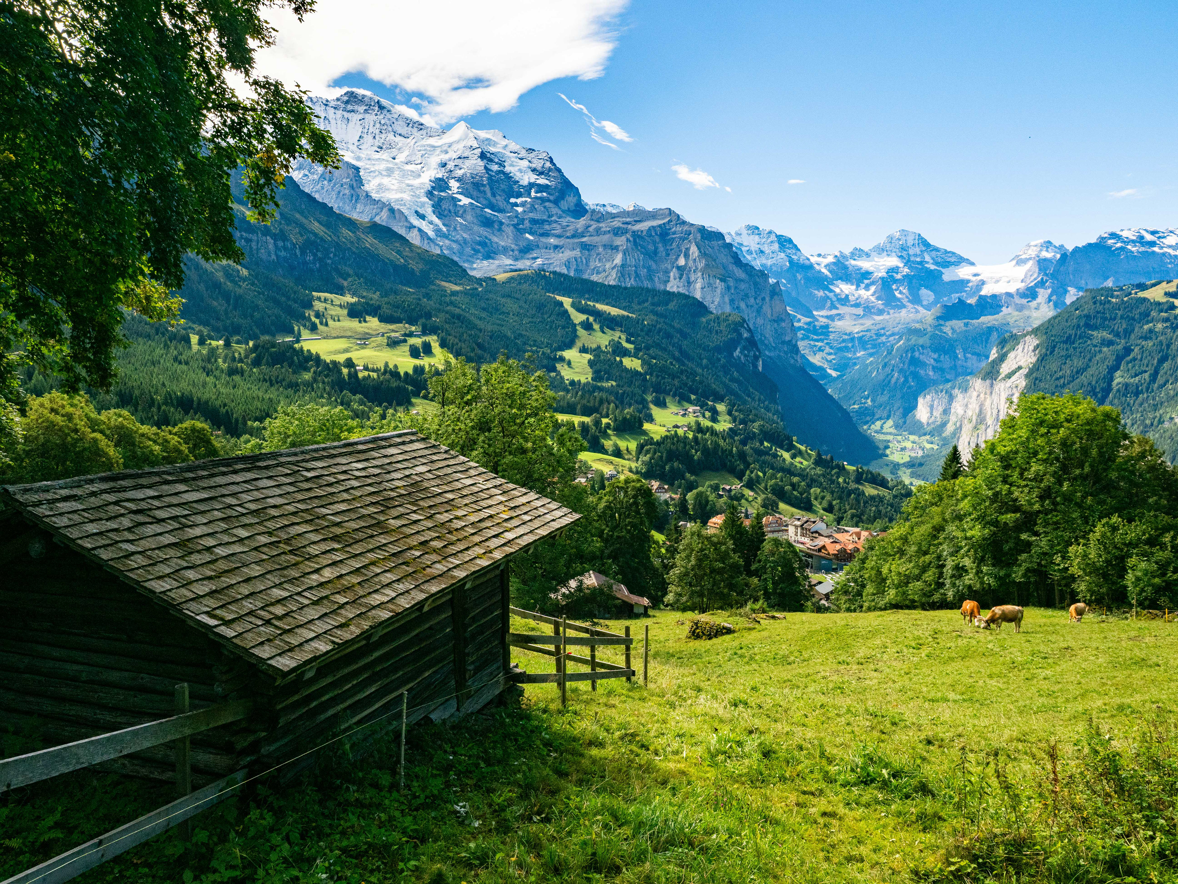 Wengen.