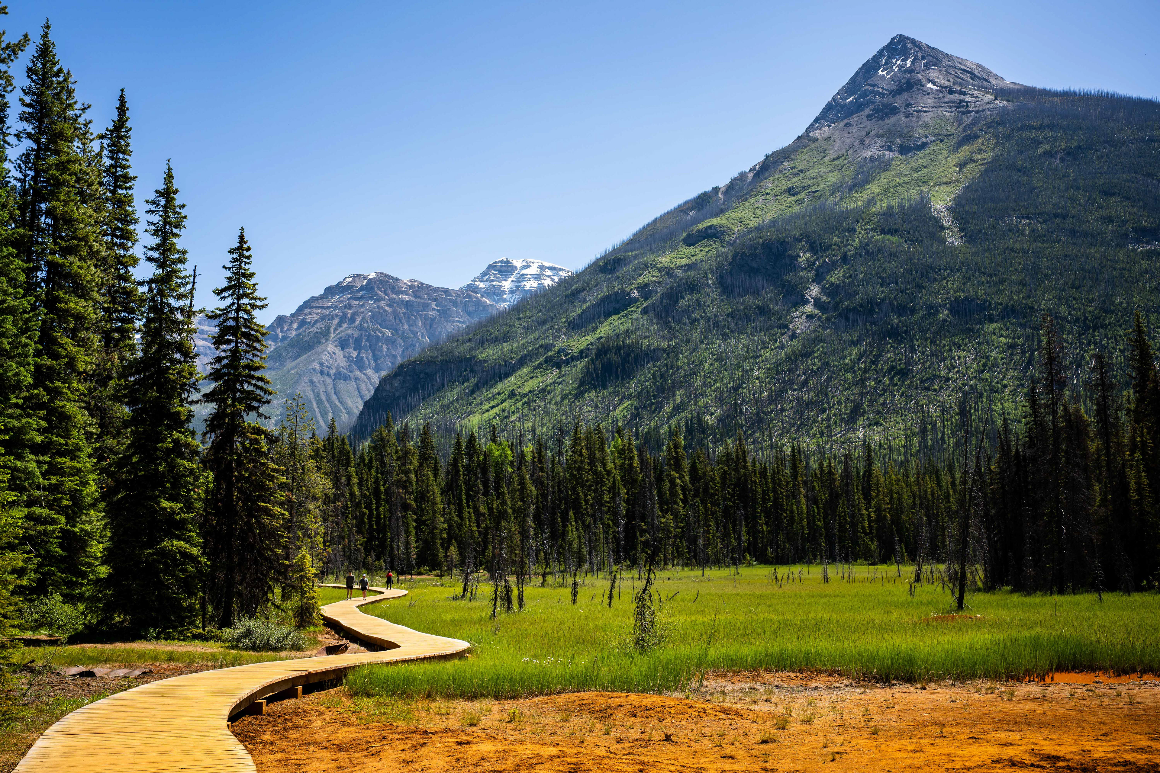 Kootenay National Park. Canada.