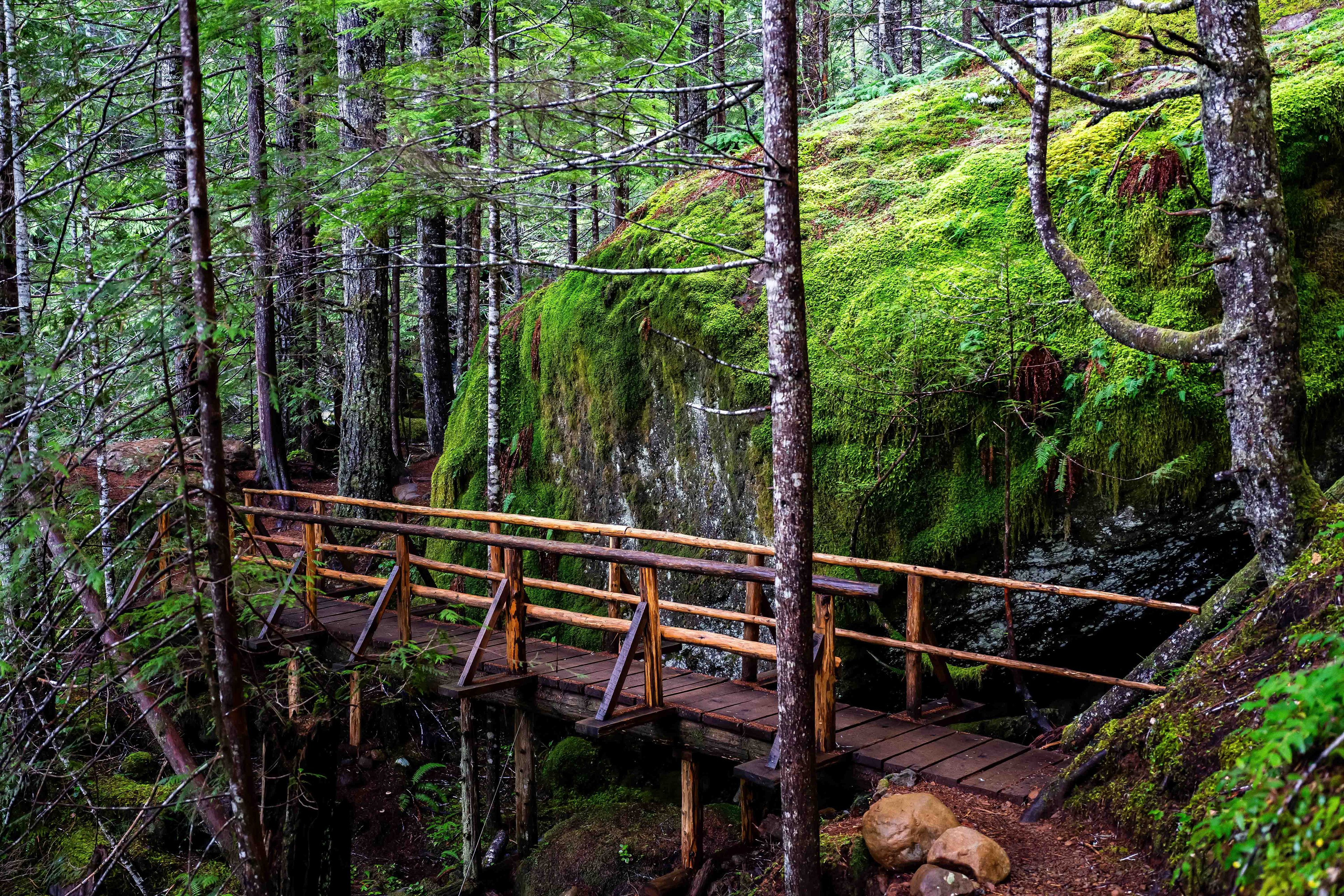 Olympic National Park.