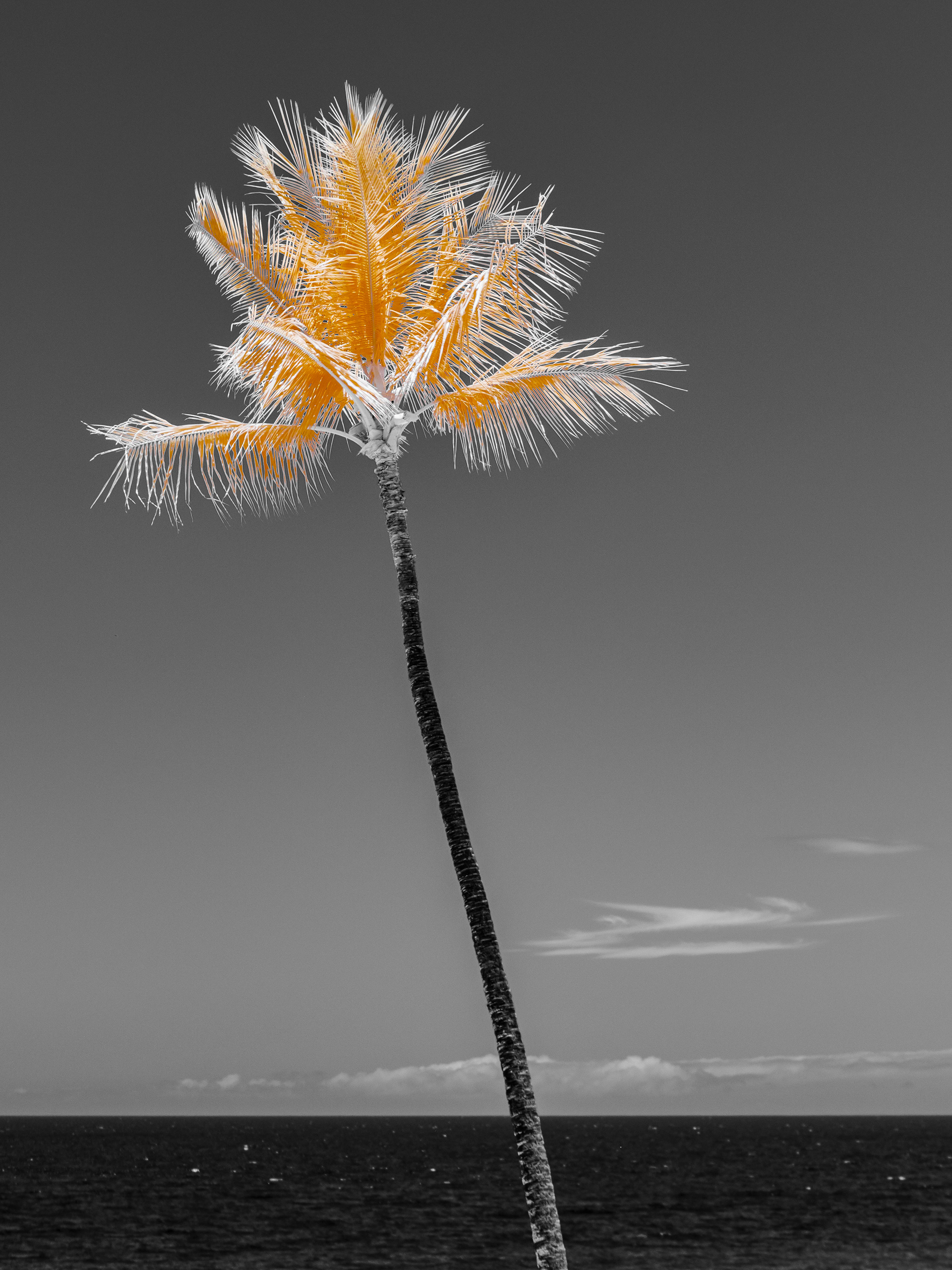 Kona. 590nm infrared.