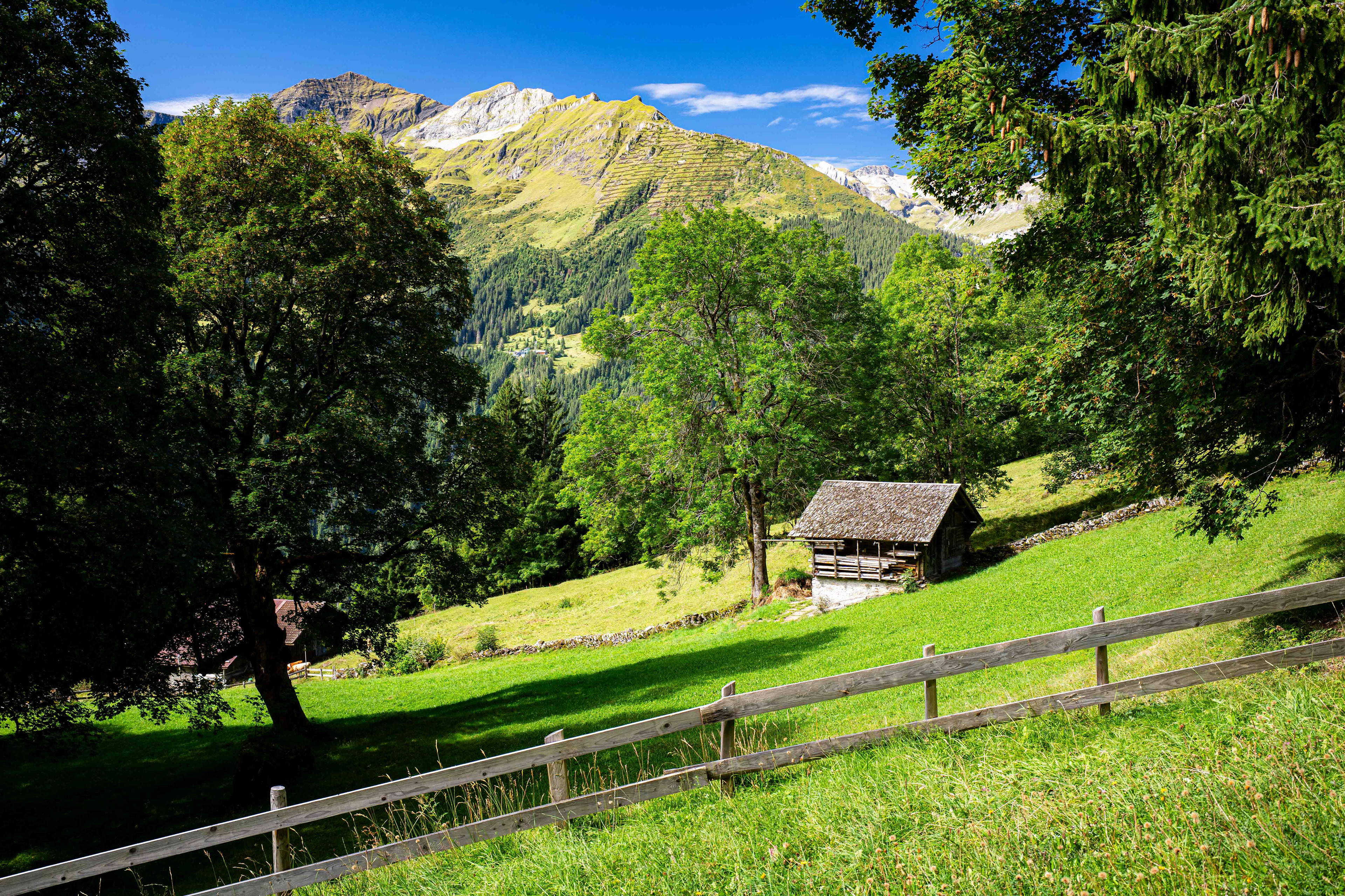 Wengen.