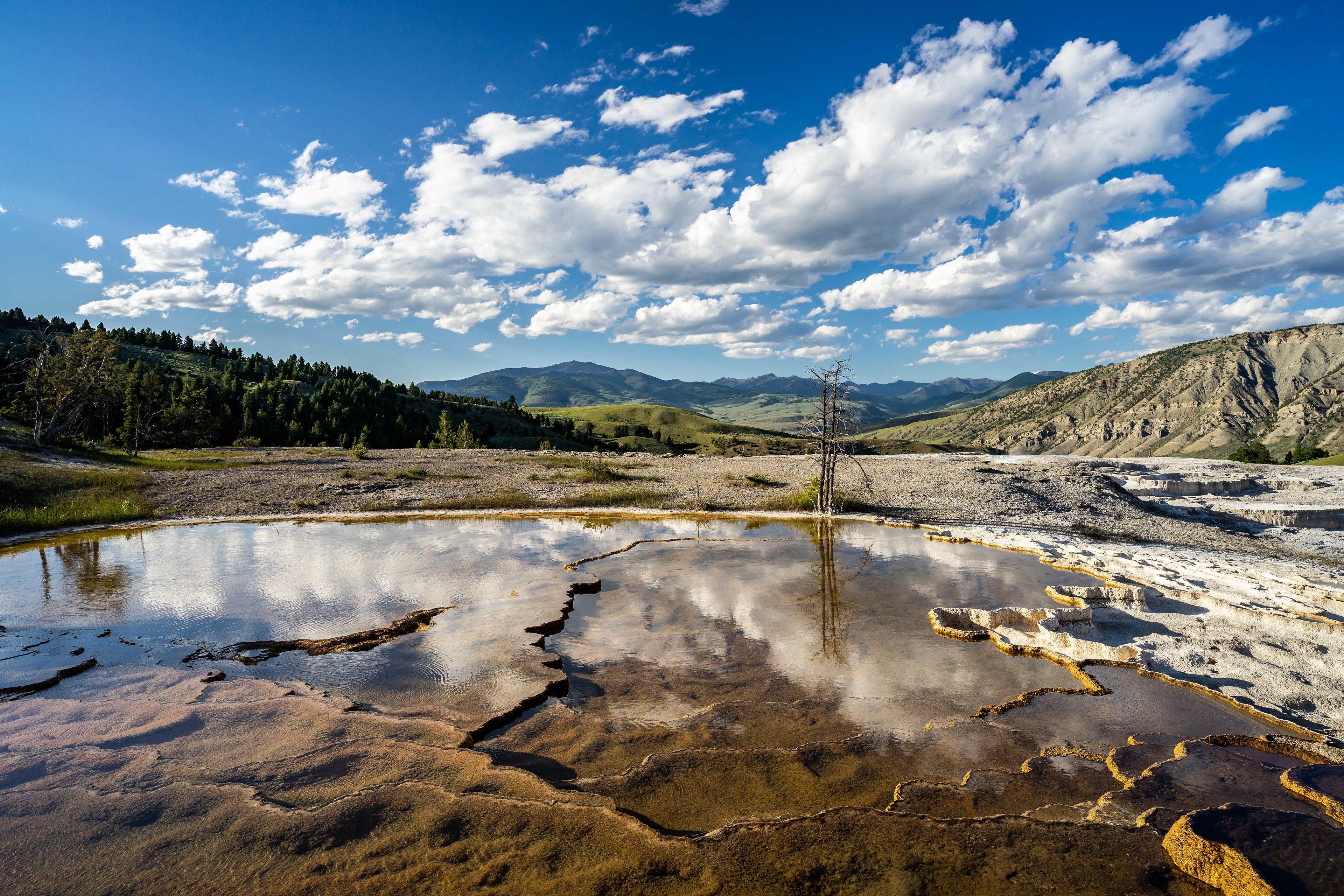 Yellowstone National Park, WY.
