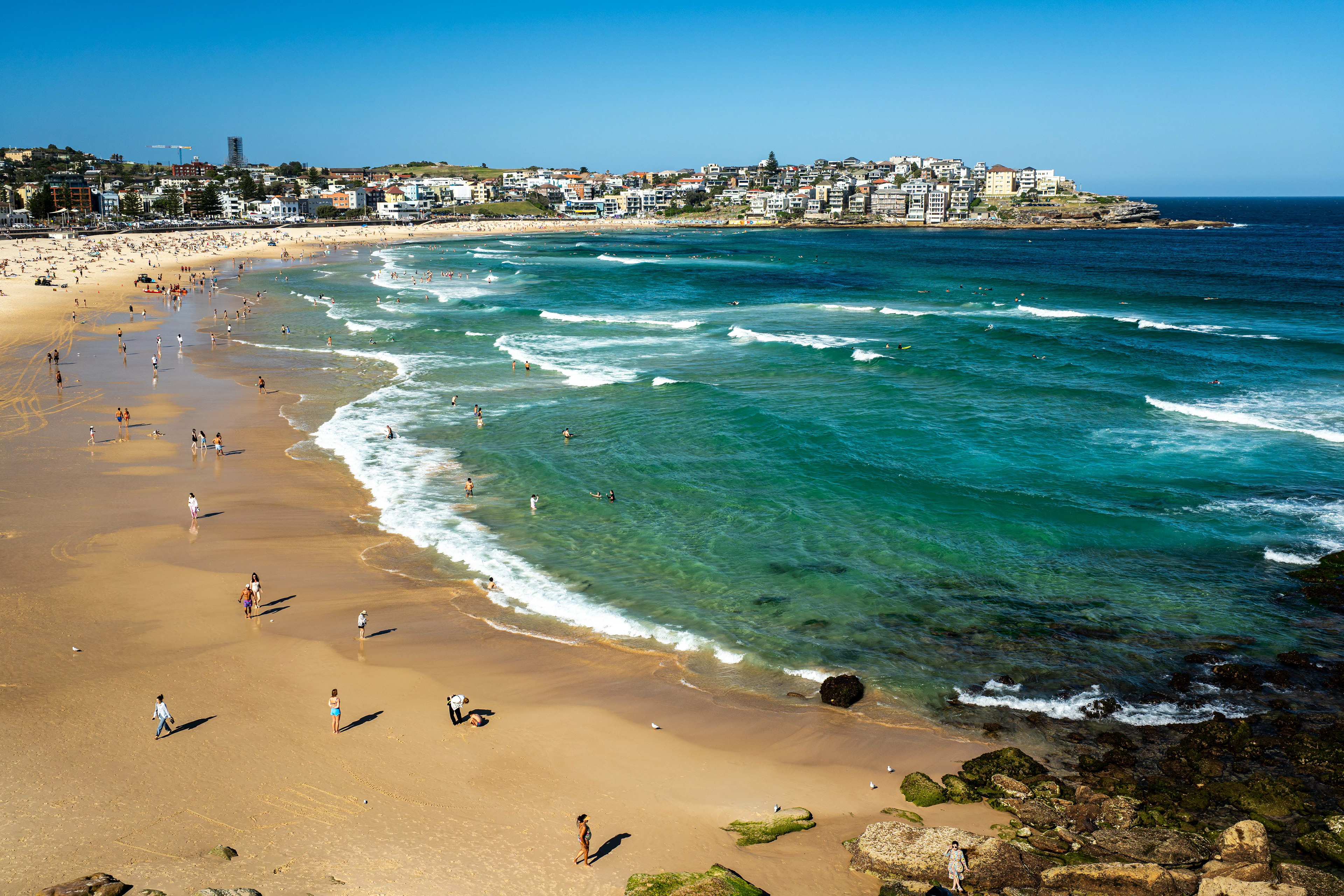Bondi Beach.