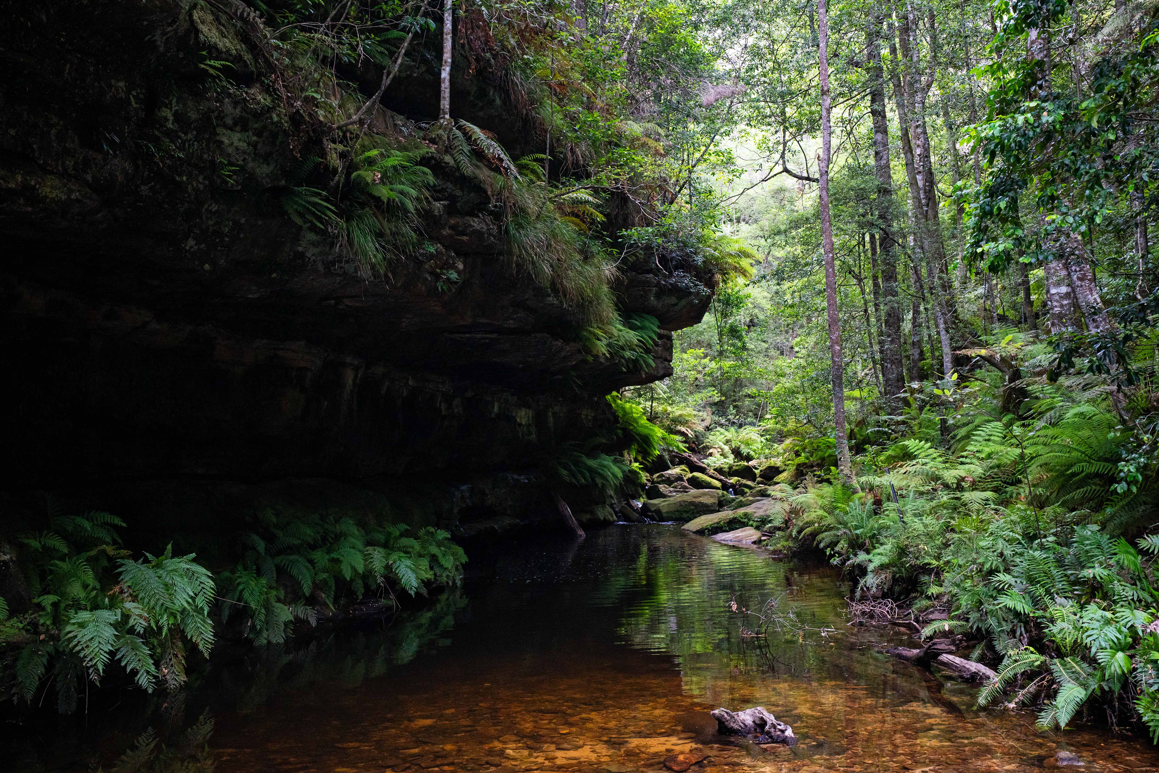 Blue Mountains National Park.