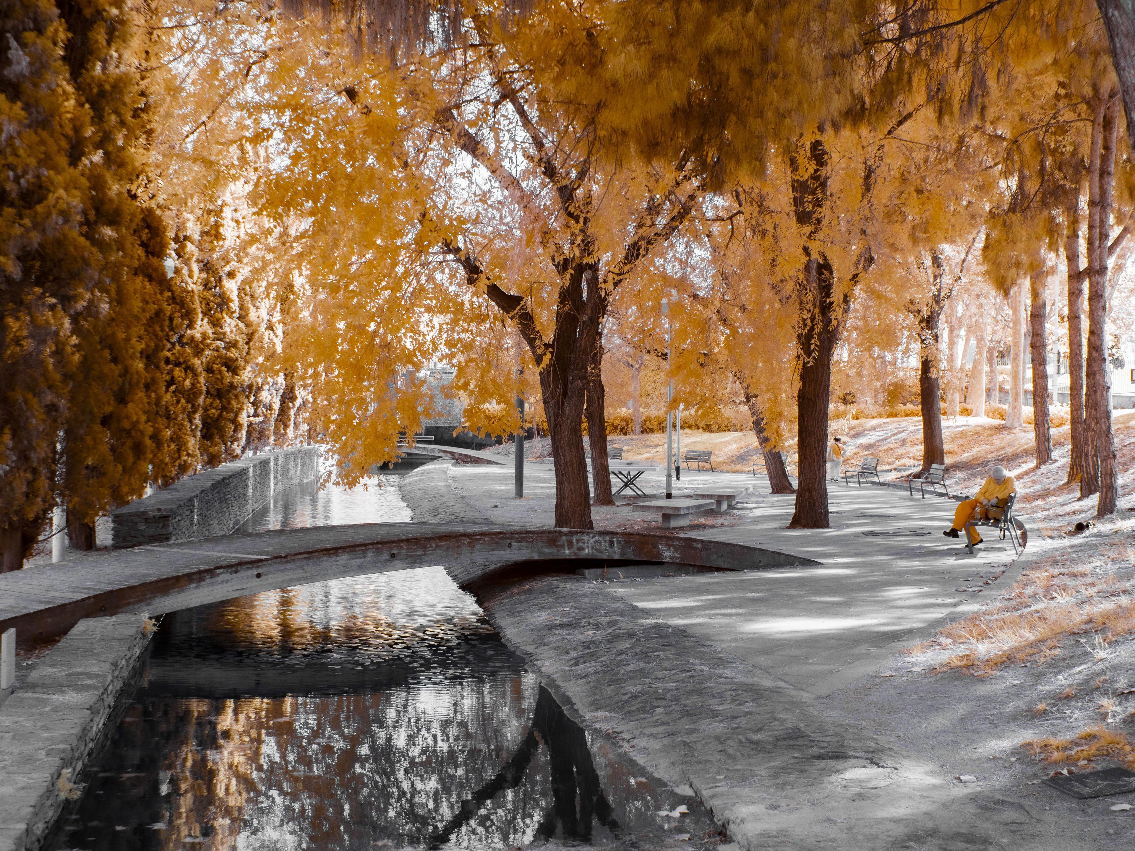 Barcelona. 590nm infrared.