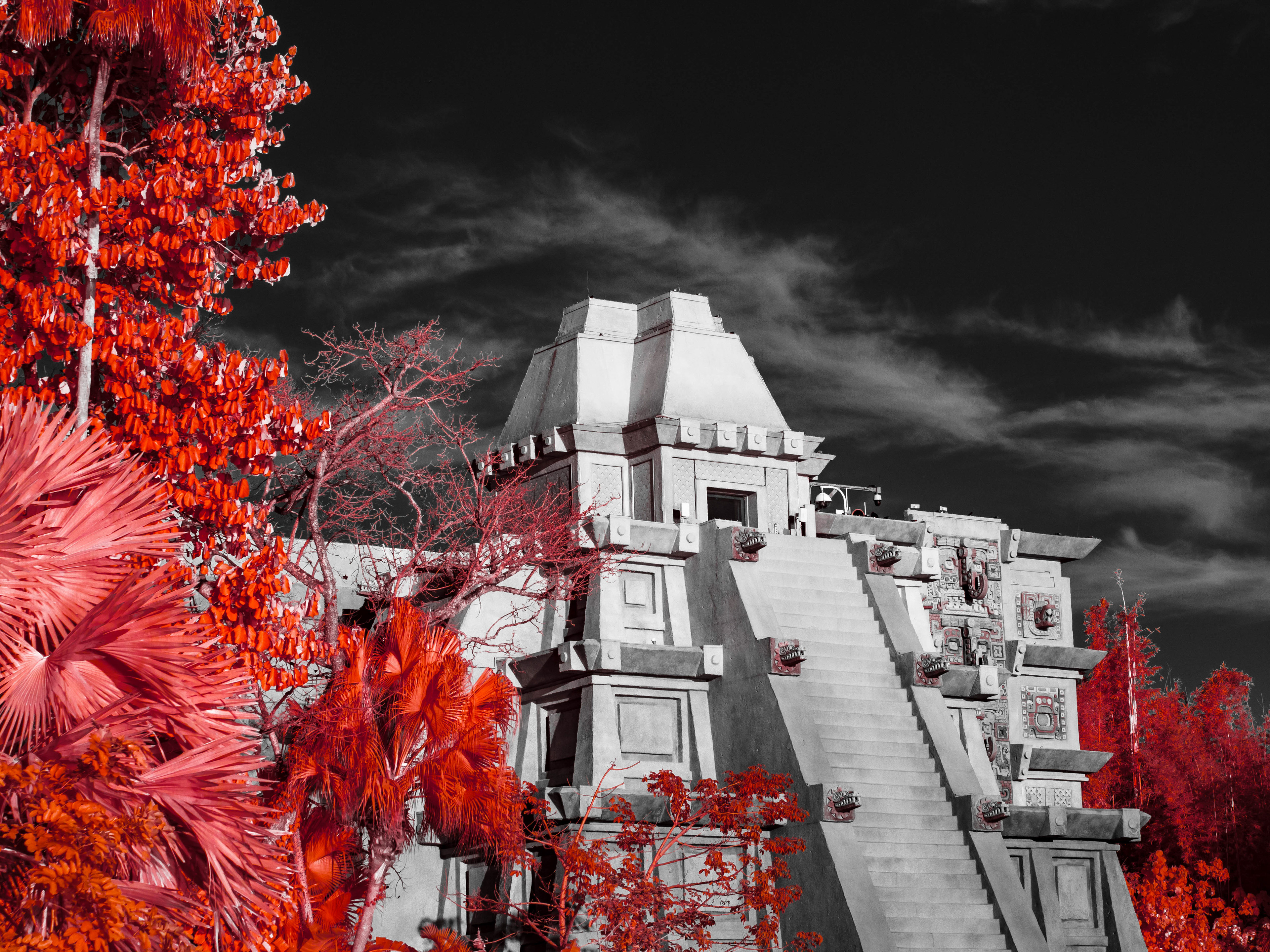 Orlando, FL. 590nm infrared.