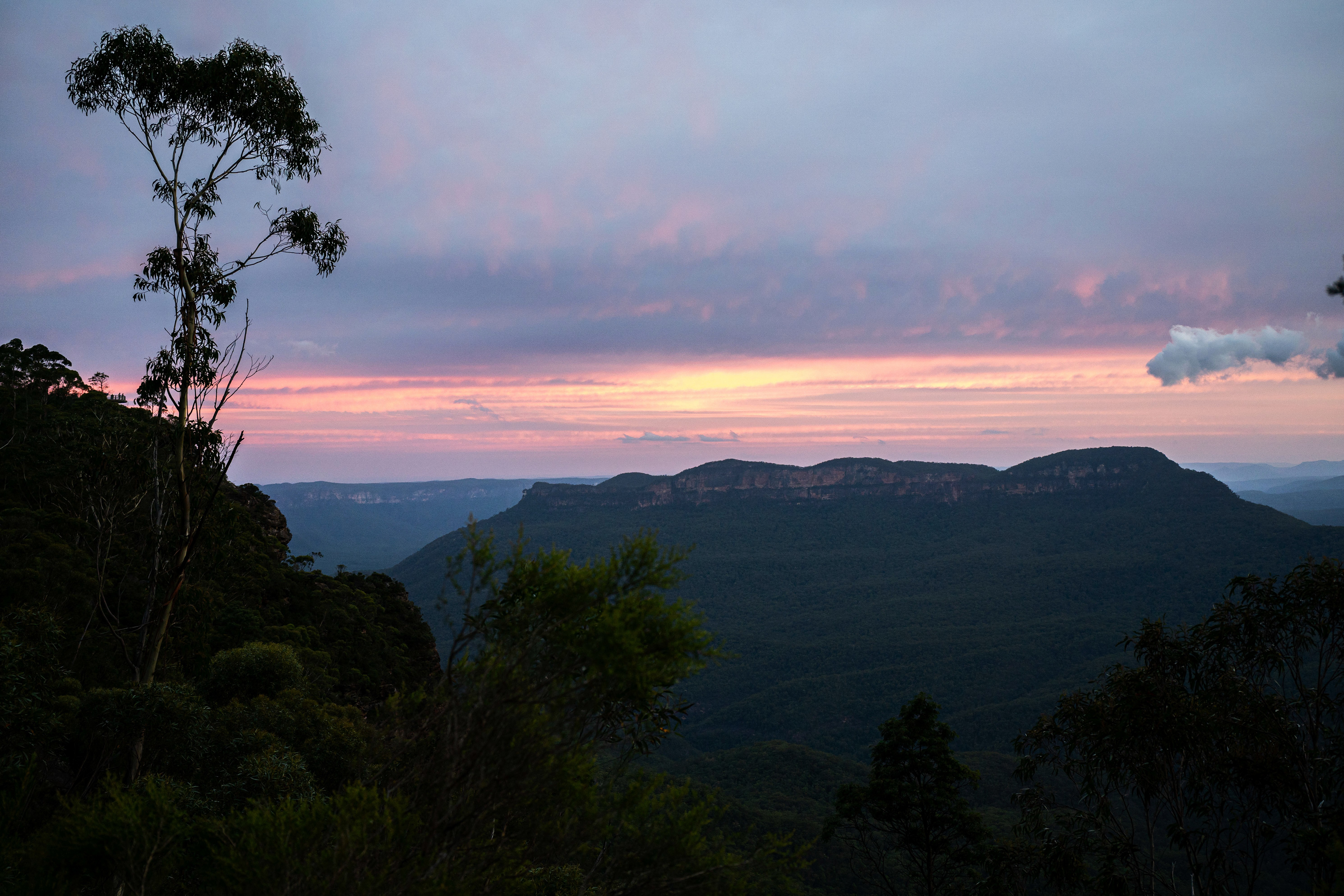 Blue Mountains National Park.