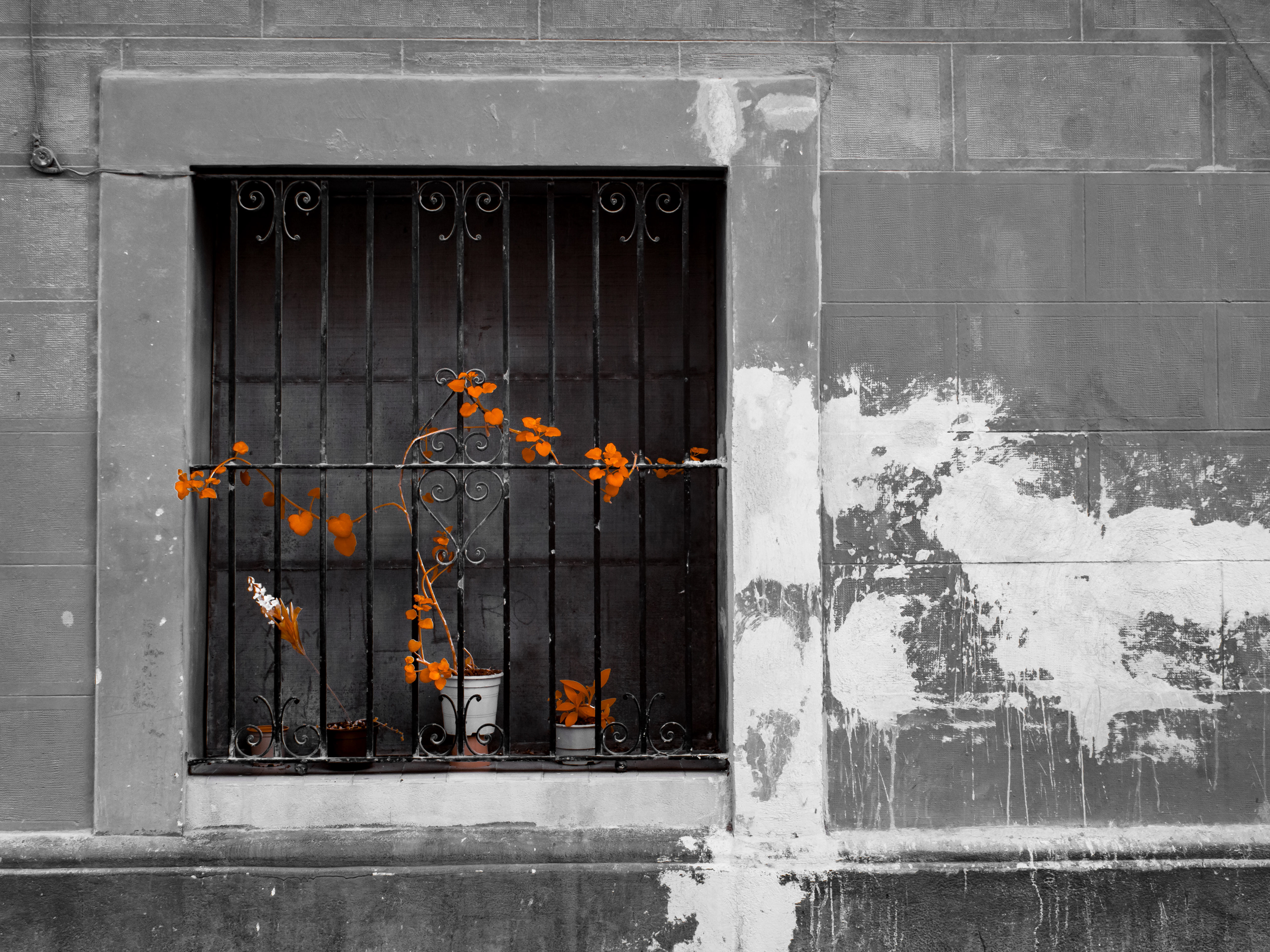 Barcelona. 590nm infrared.