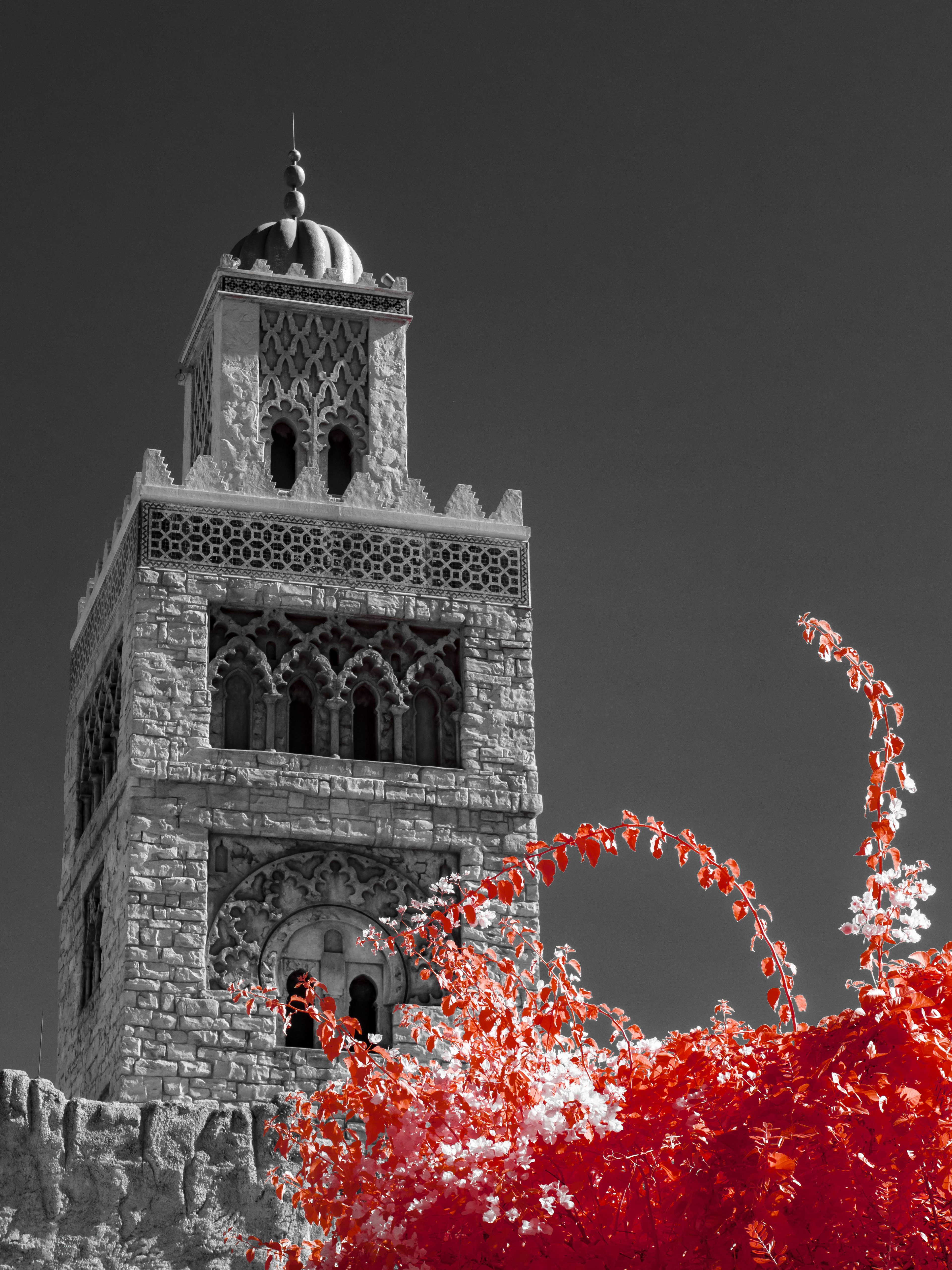 Orlando, FL. 590nm infrared.