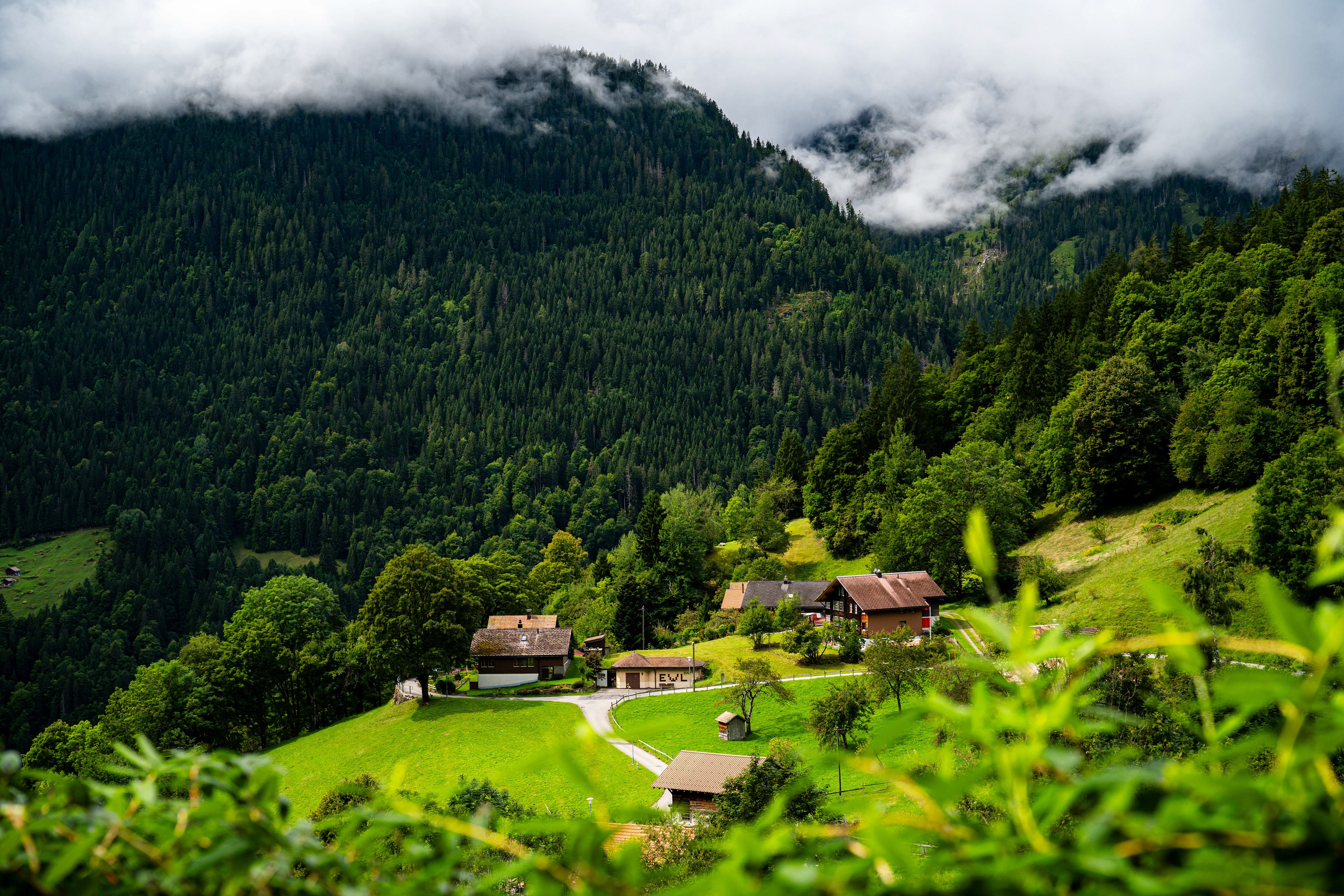 Wengen.