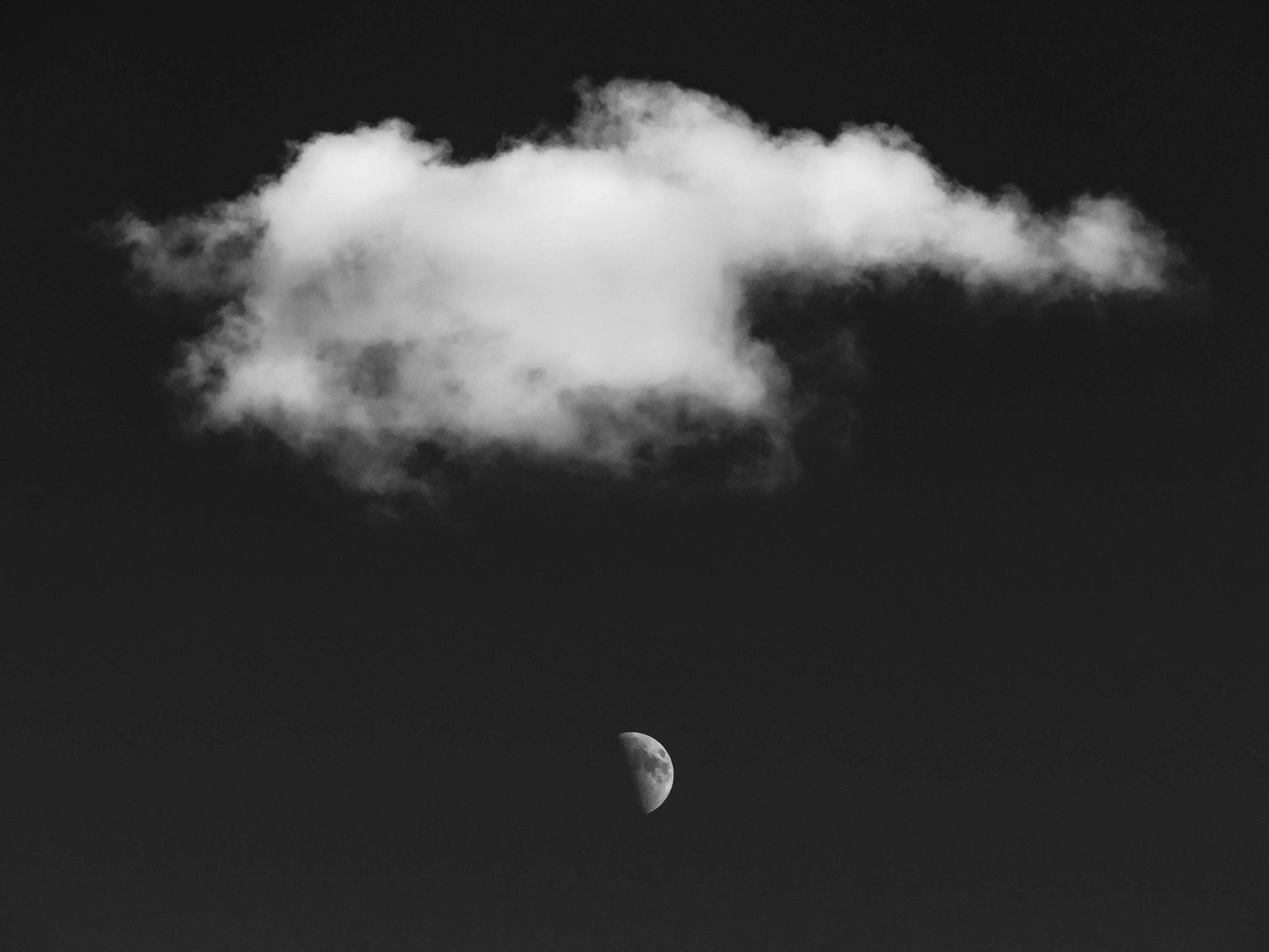 Olympia, Washington.