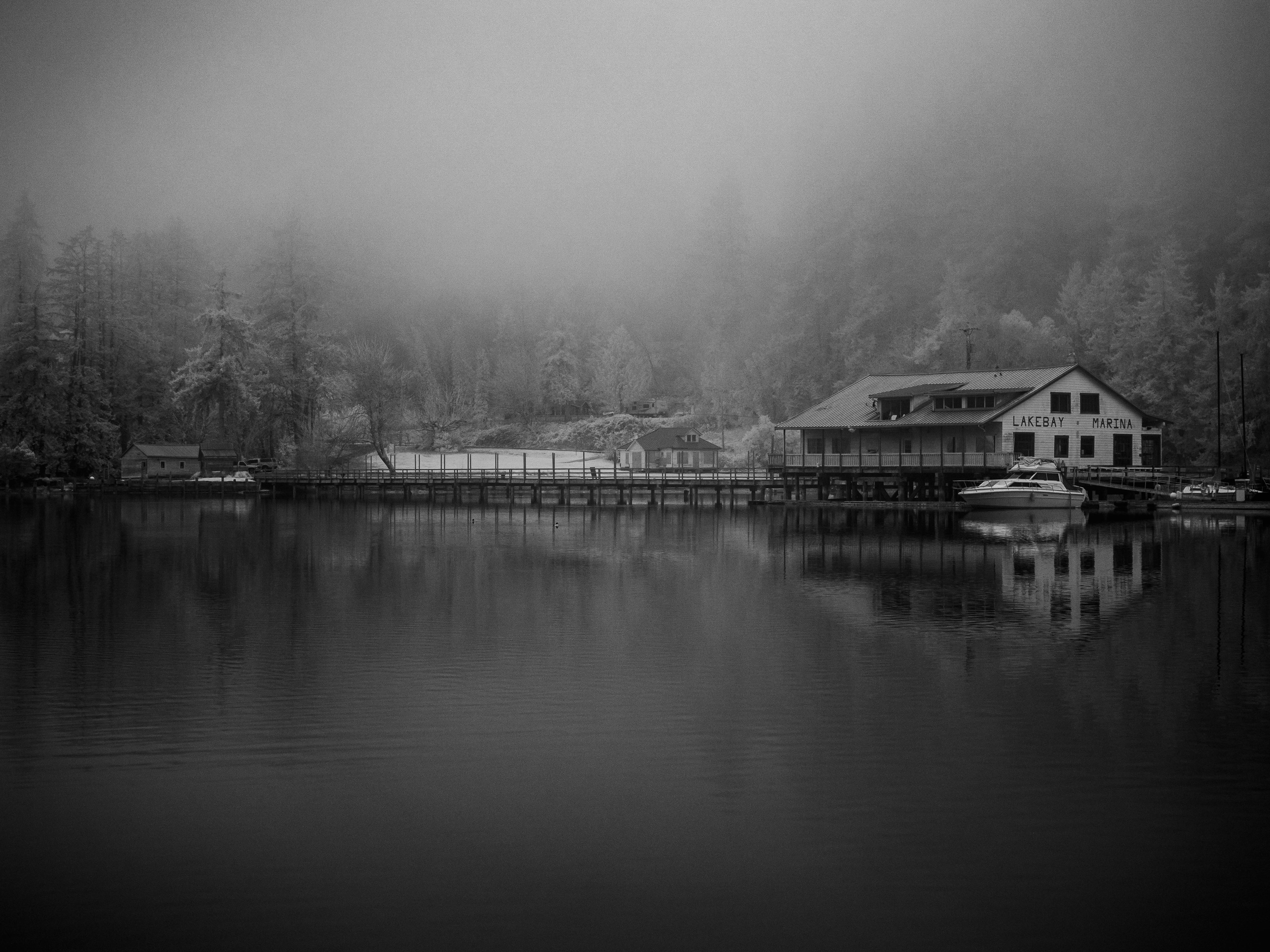 Somewhere on Puget Sound. 830nm infrared.