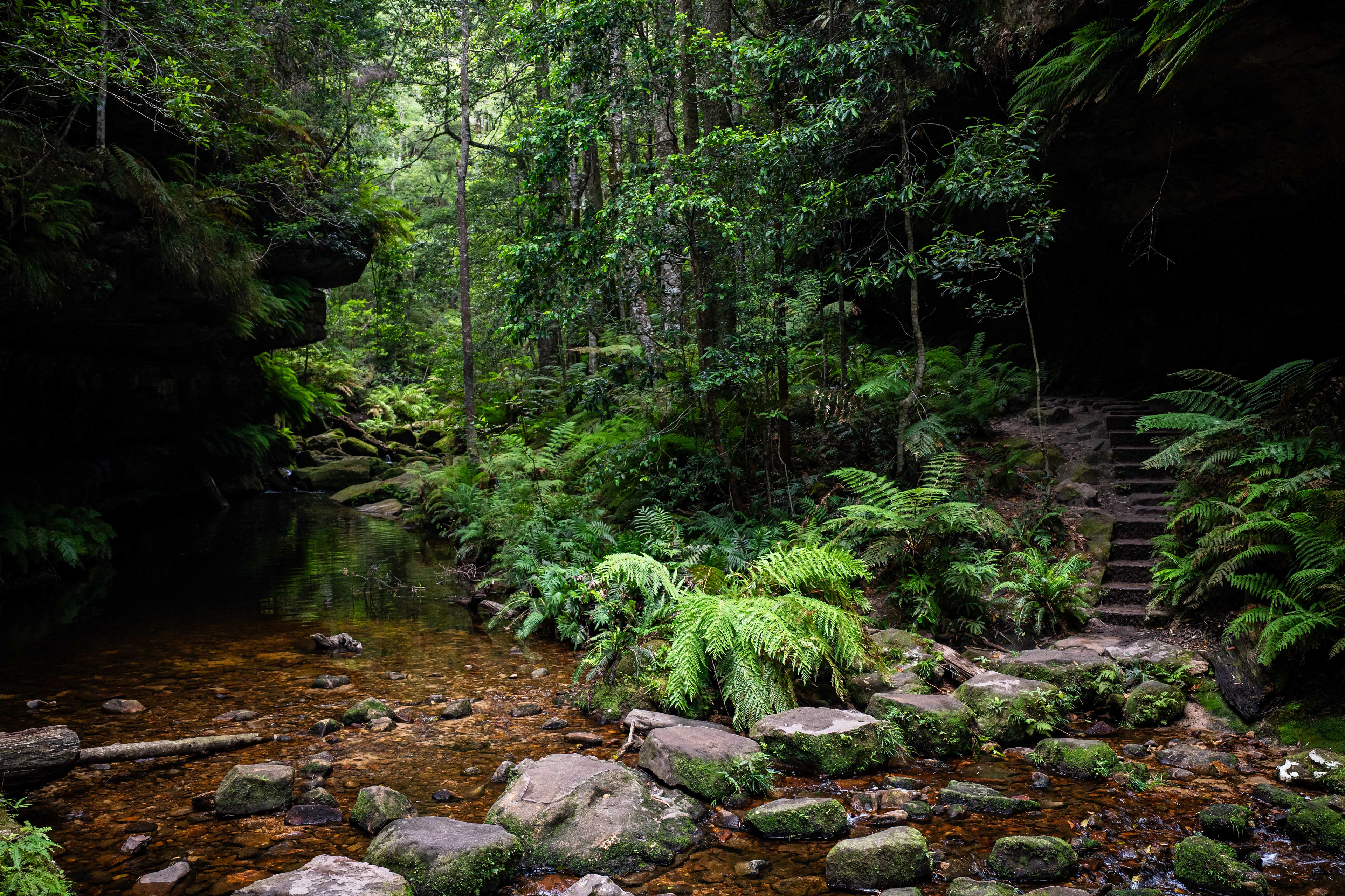 Blue Mountains National Park.