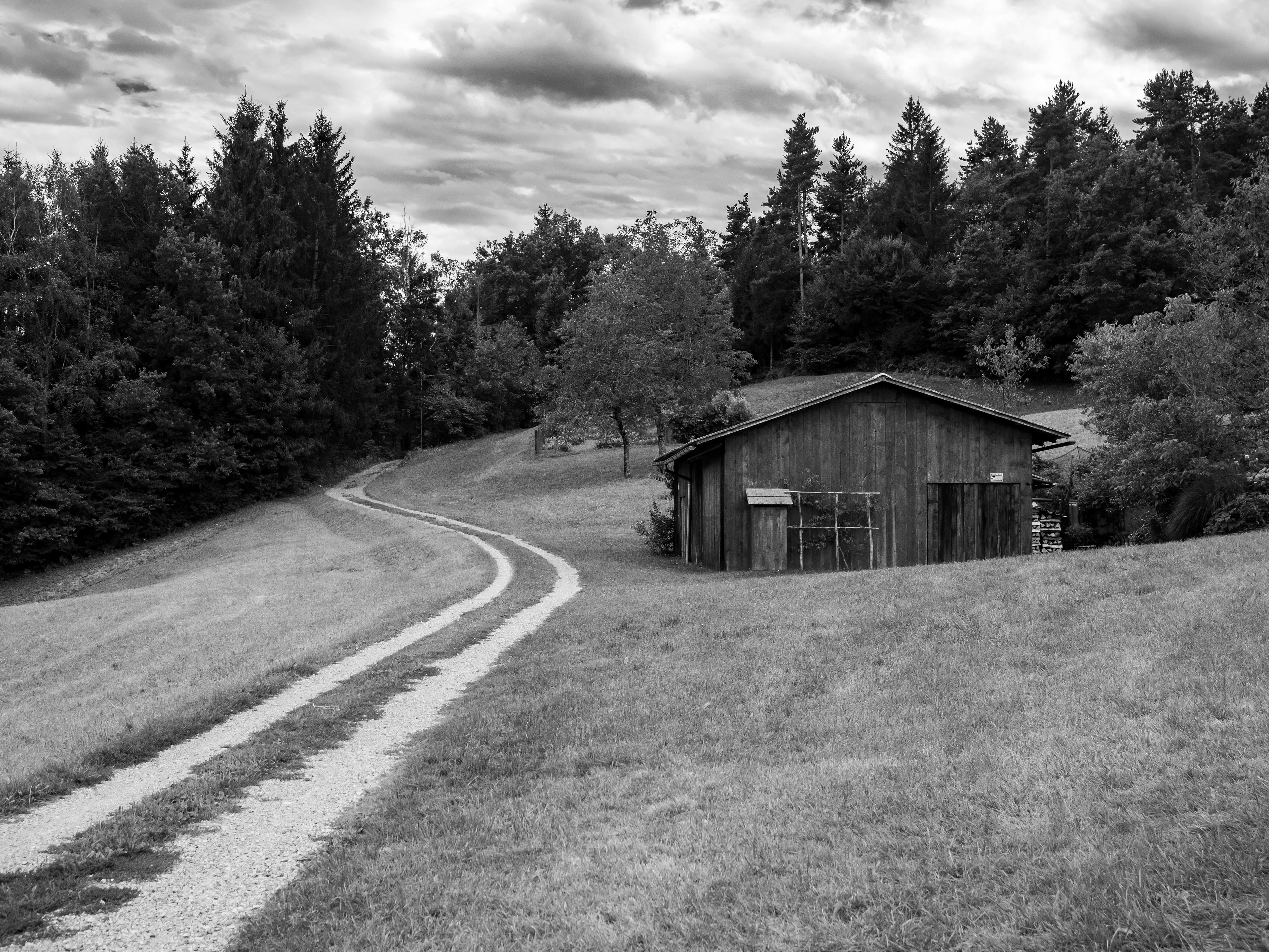 Near Skofja Loka.