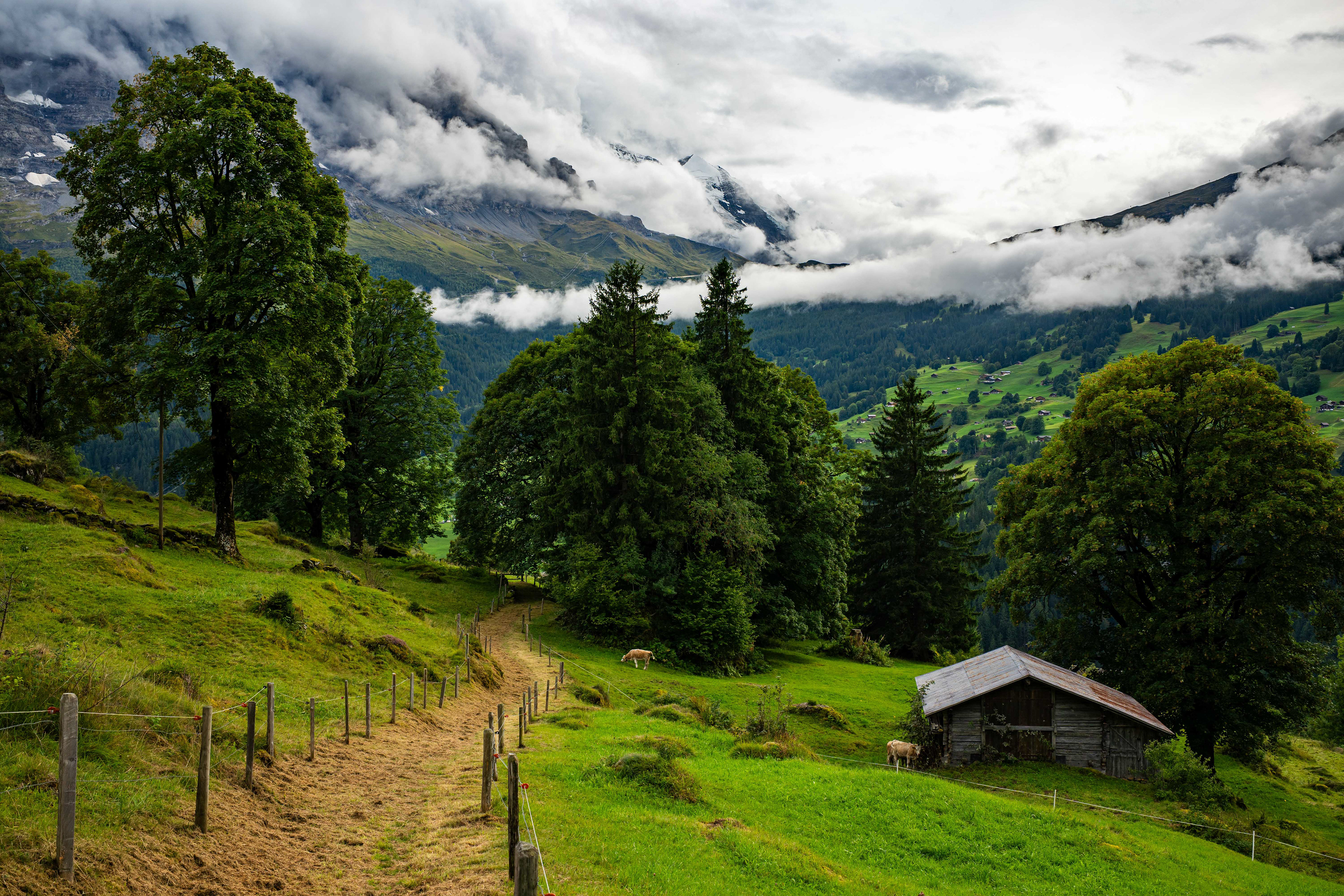Grindelwald.