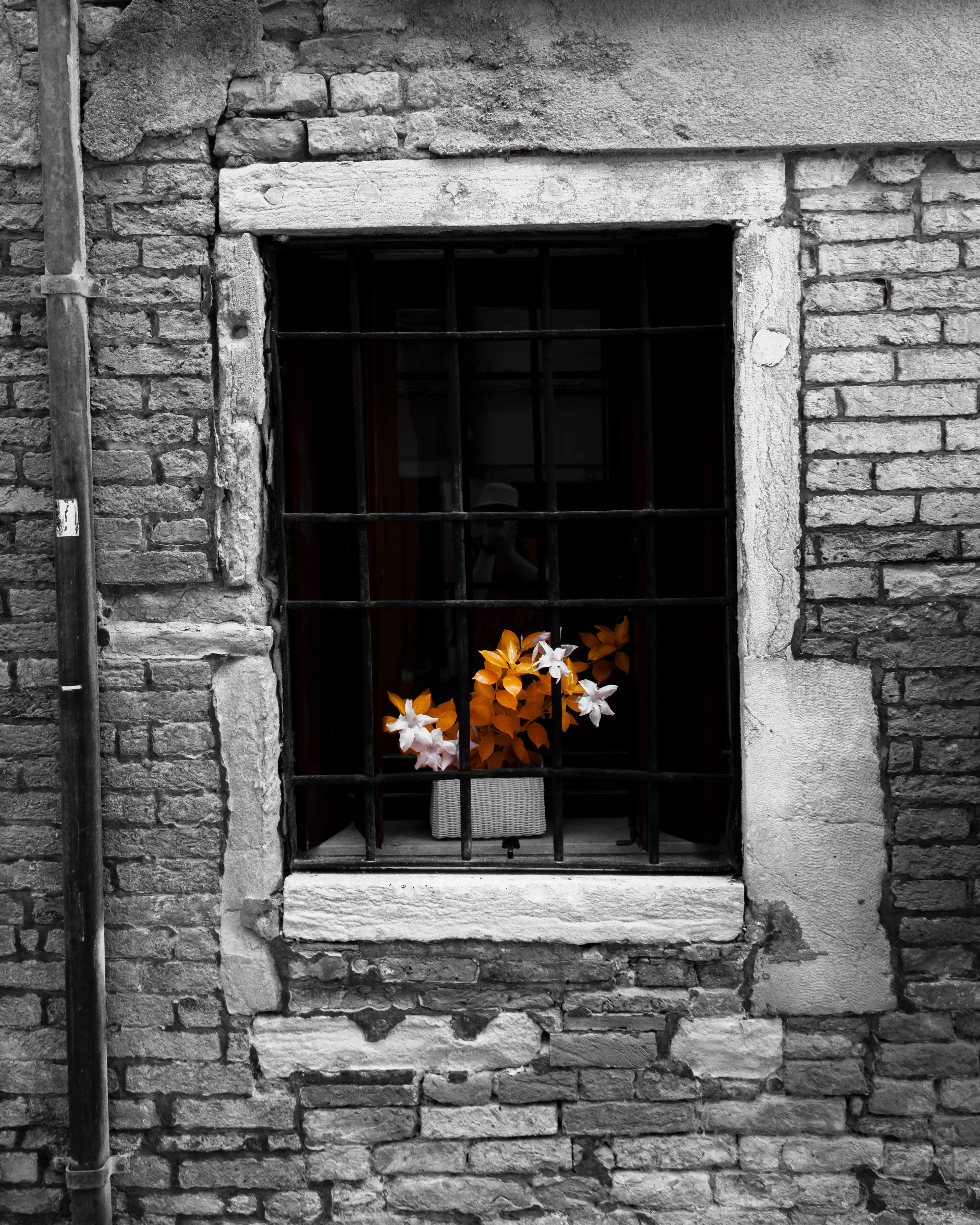 Venice. 590nm infrared.