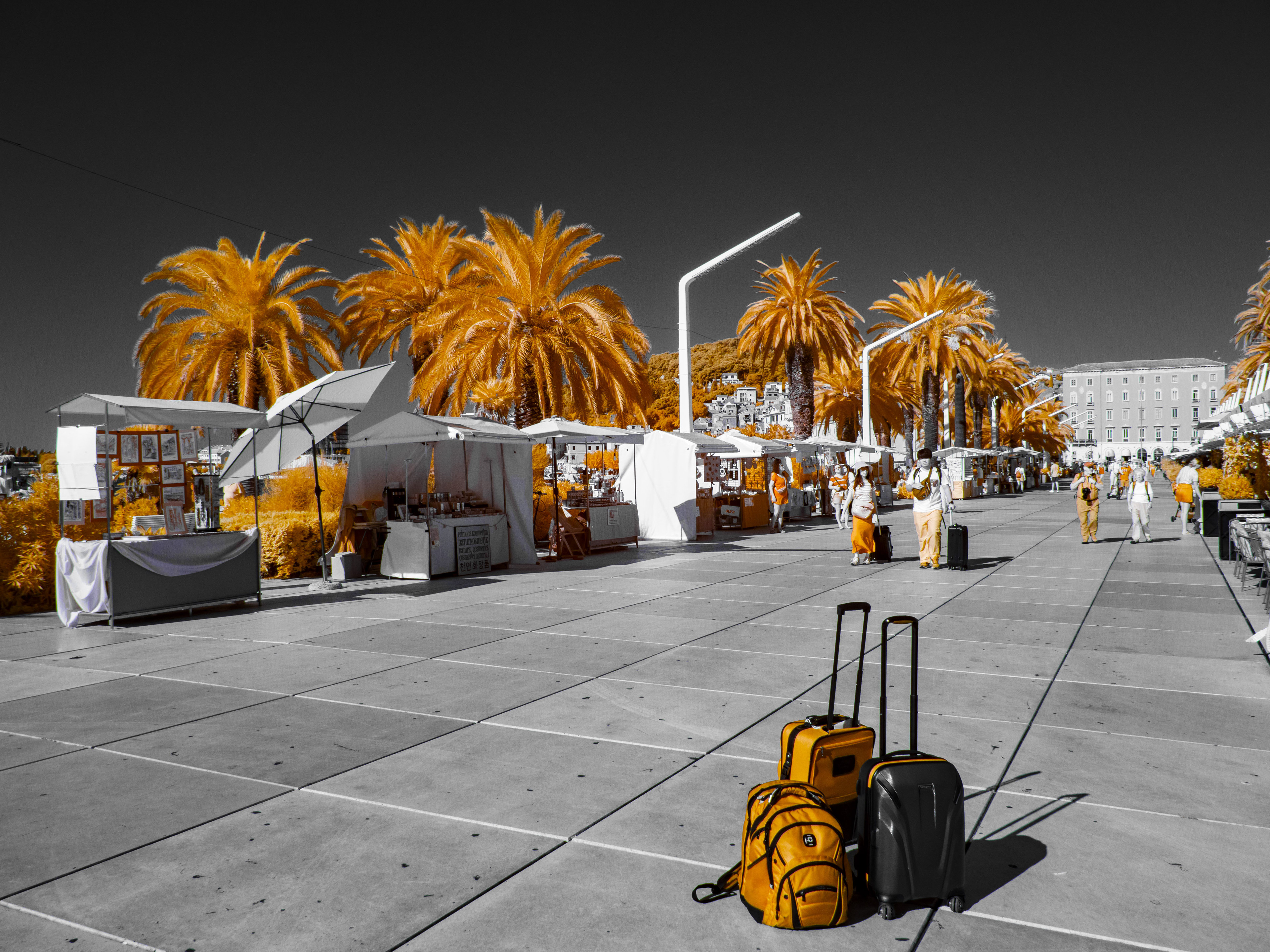 Split. 590nm infrared.