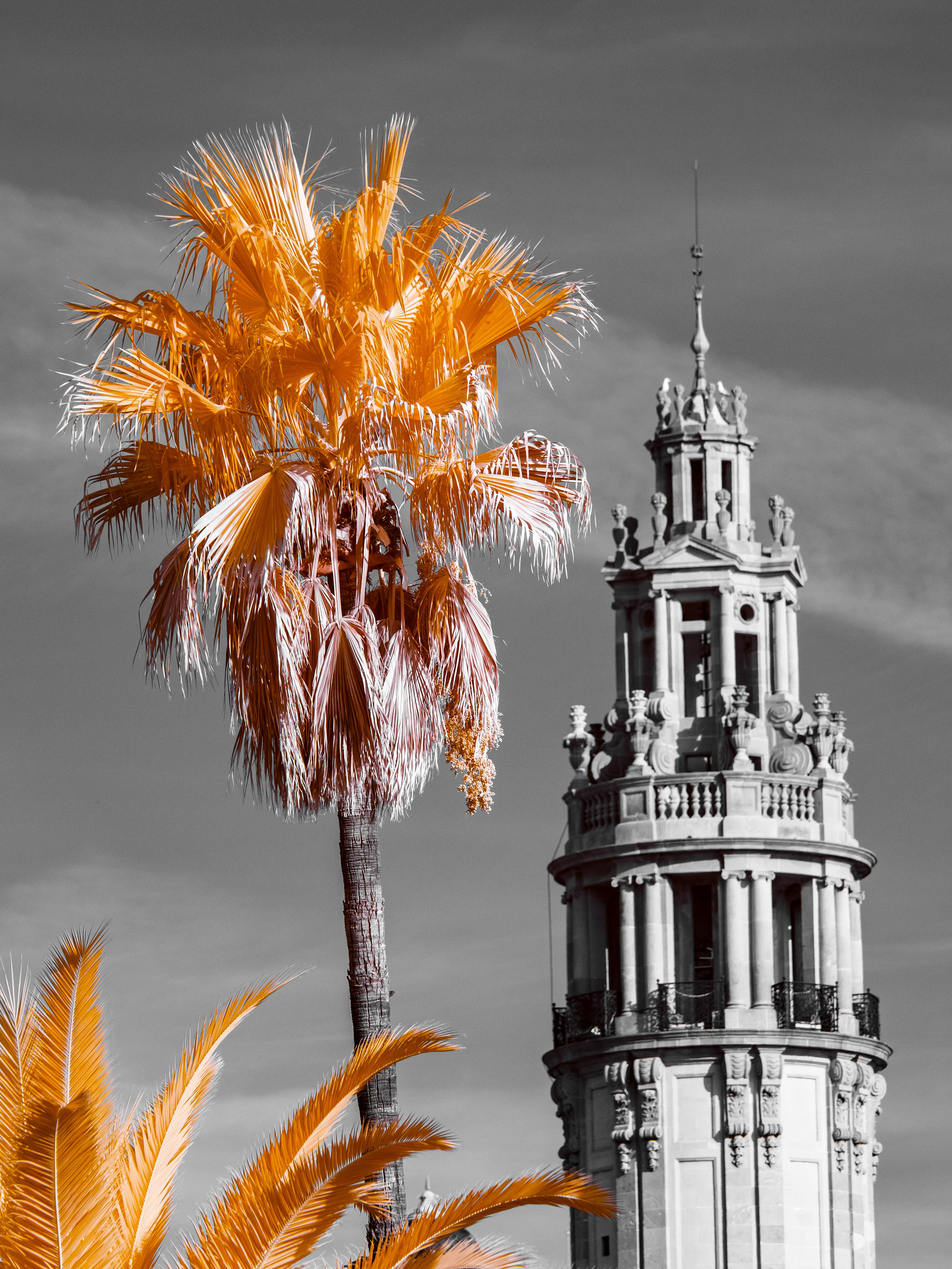 Barcelona. 590nm infrared.