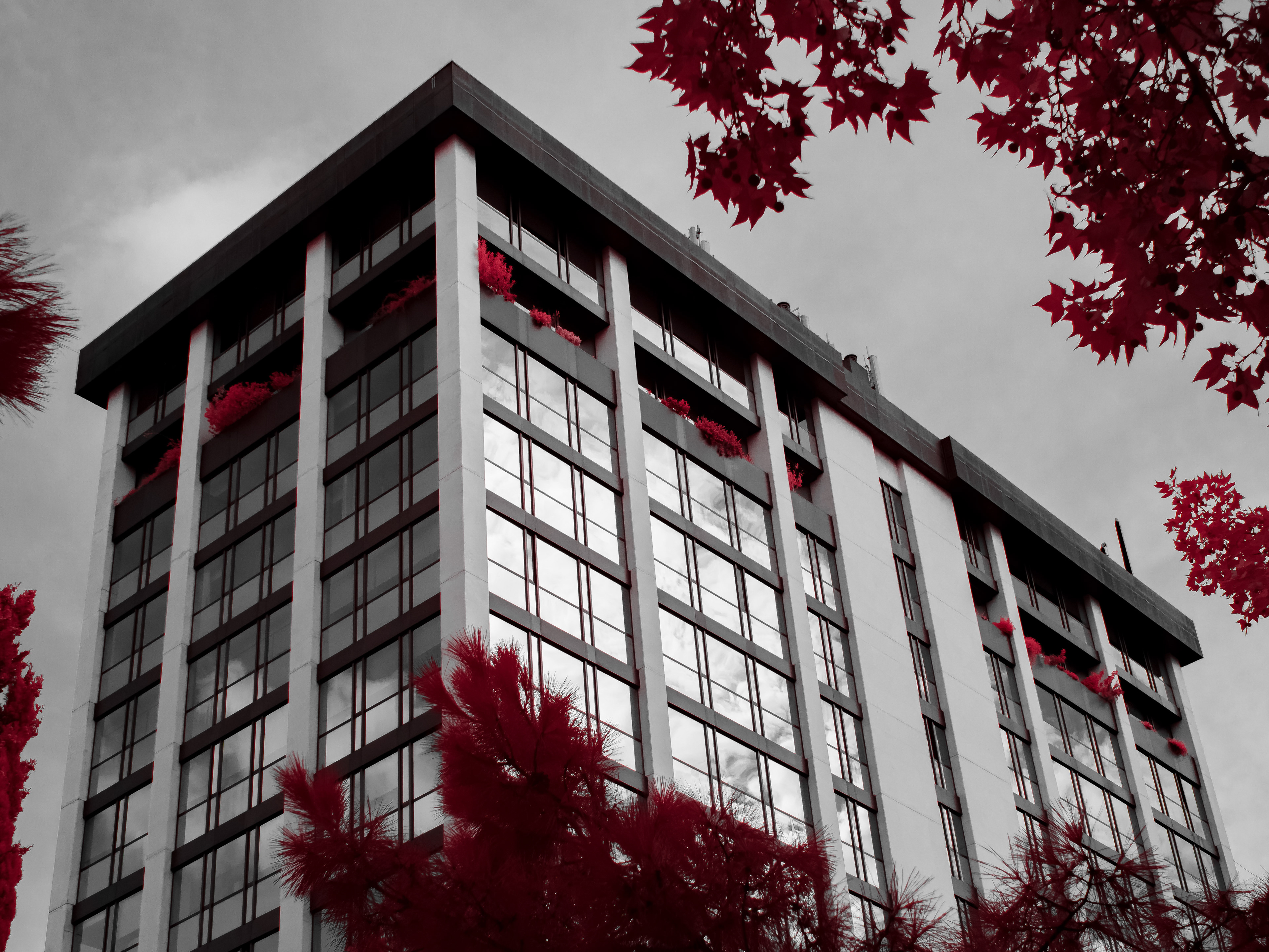 Barcelona. 590nm infrared.