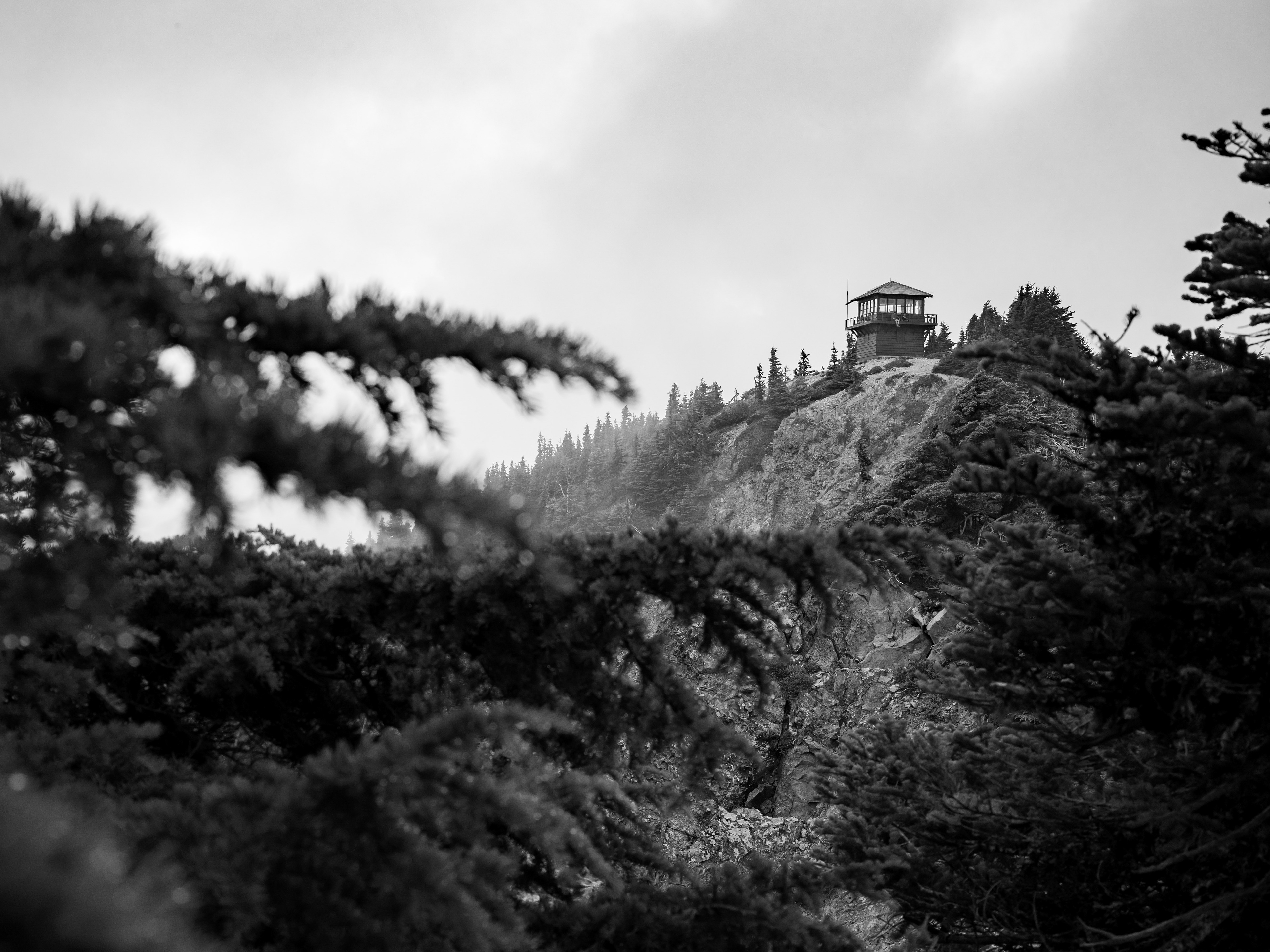 Mount Rainier National Park.