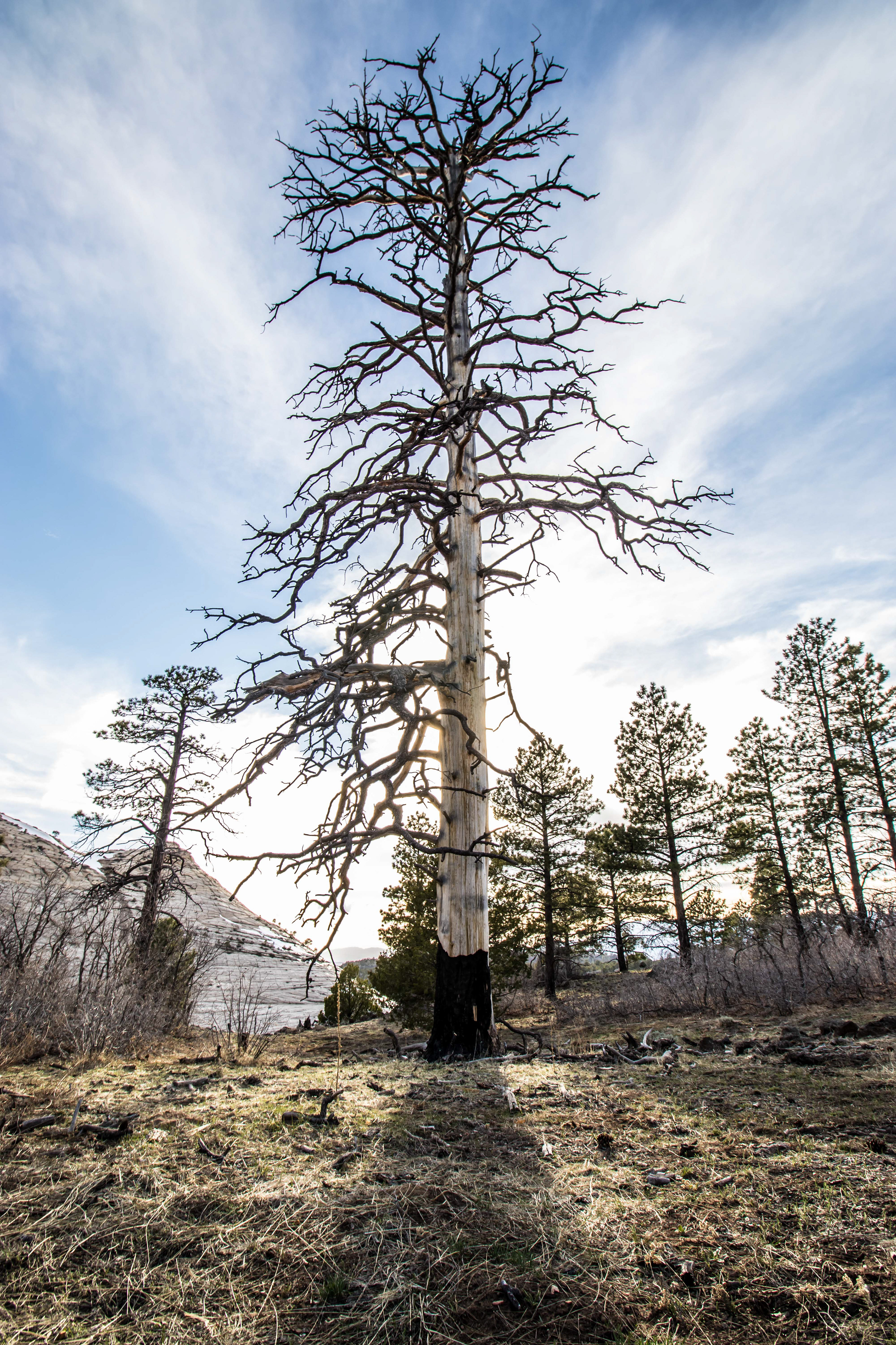Zion National Park, UT.