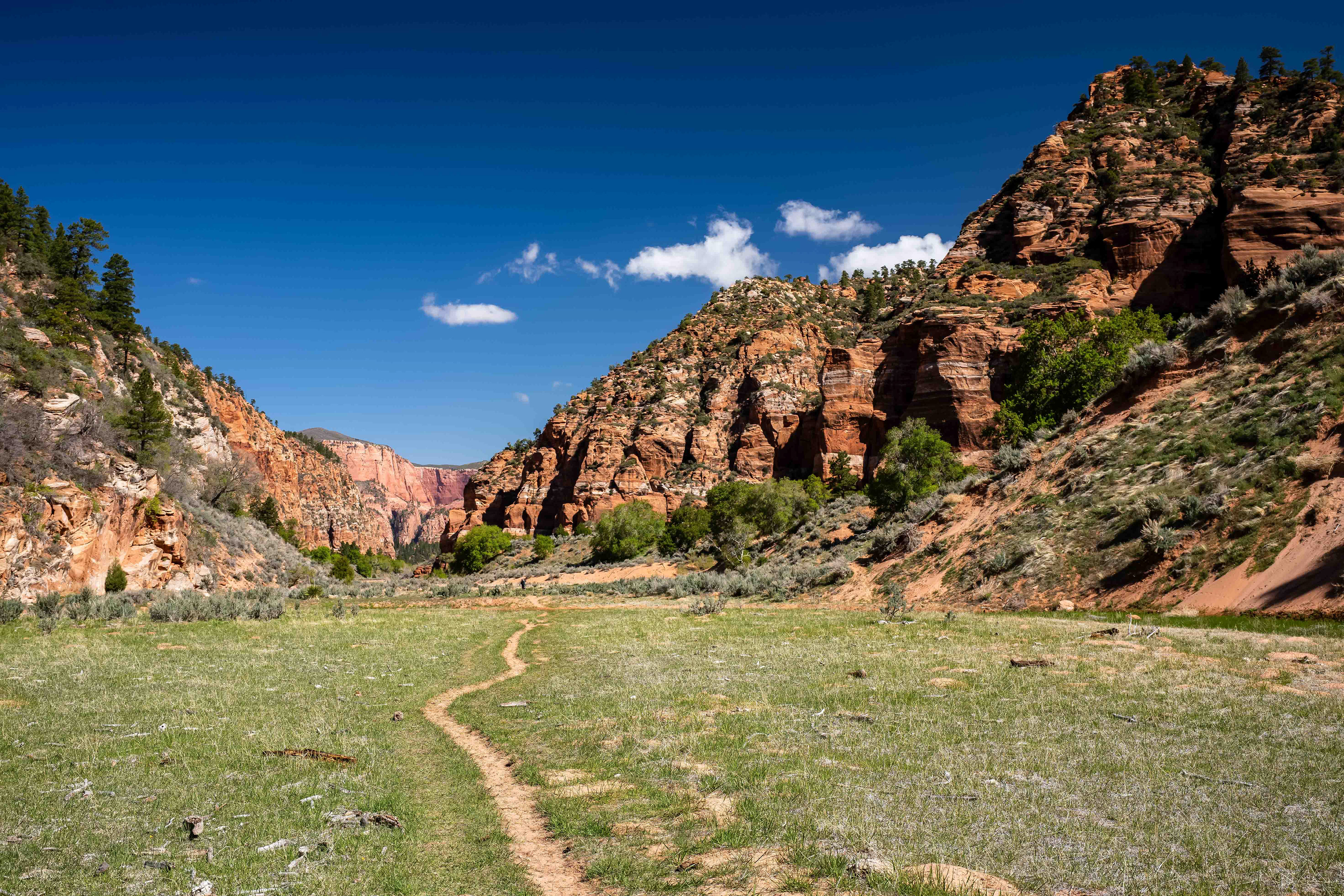 Zion National Park. UT.