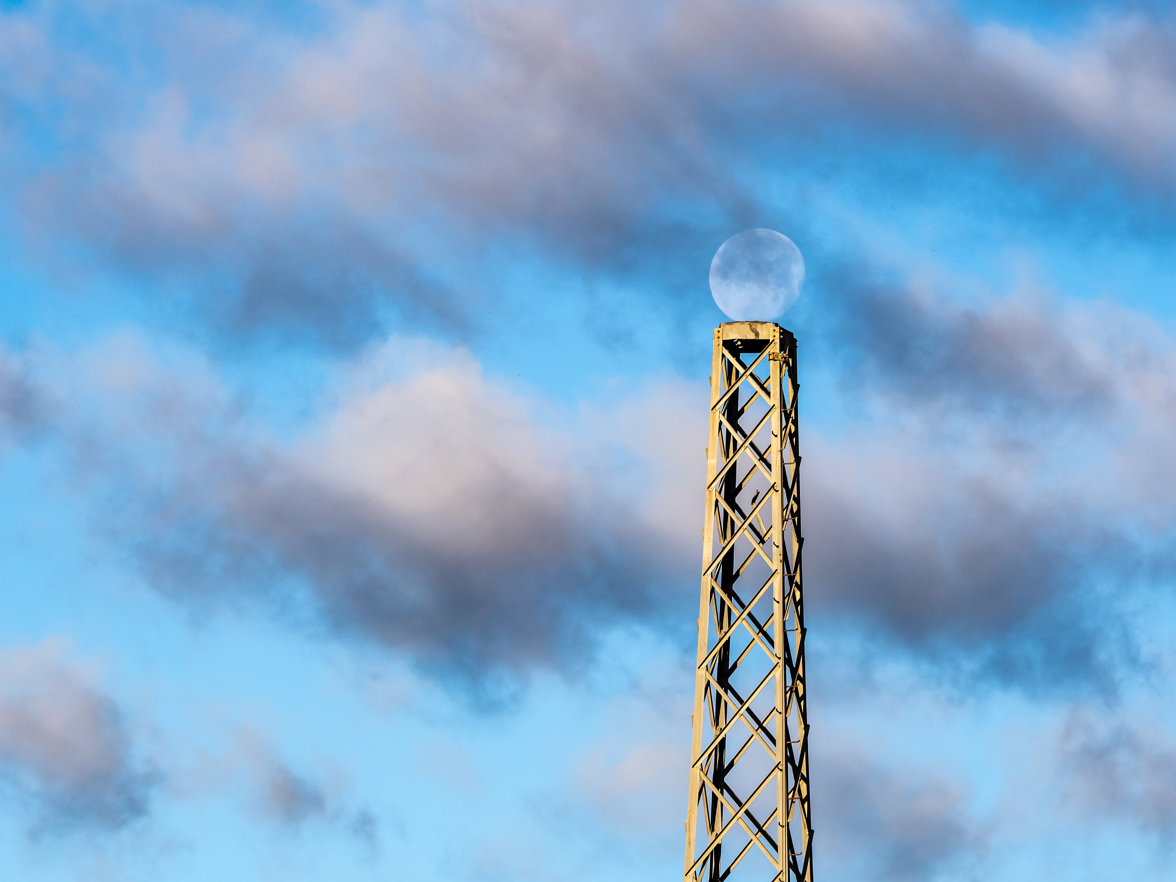 Near Bonnie Bell, CA.