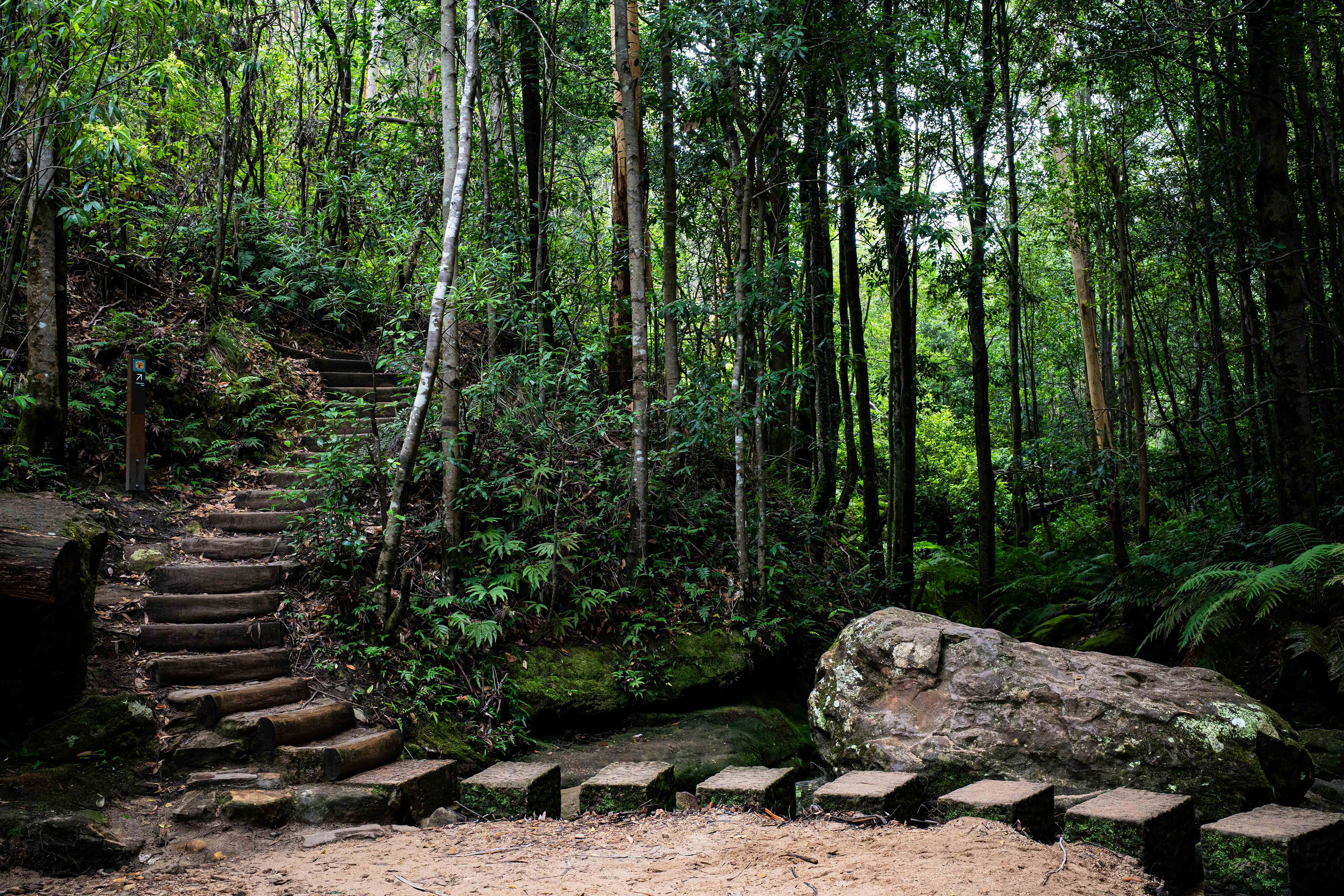 Blue Mountains National Park.