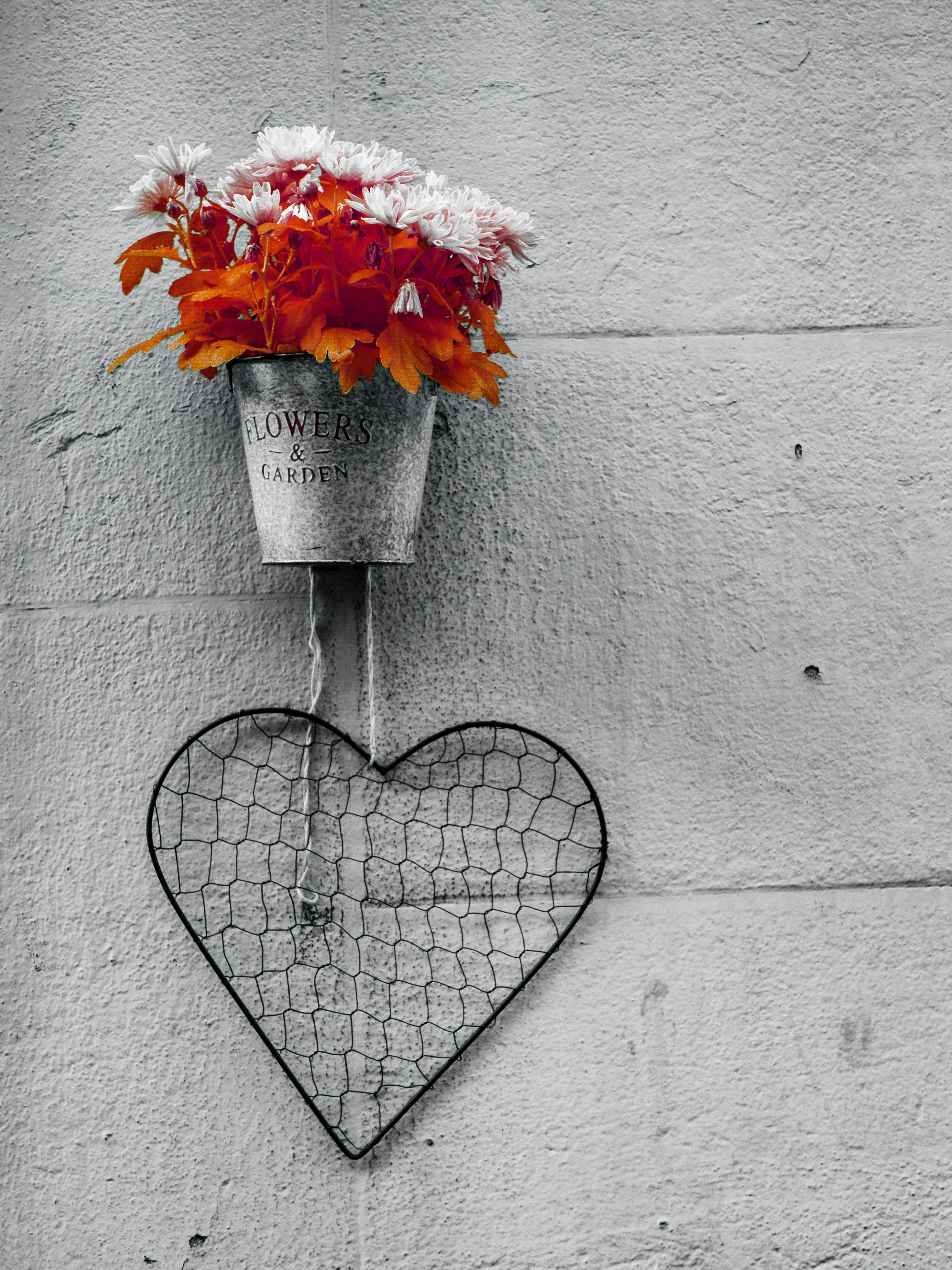 Barcelona. 590nm infrared.